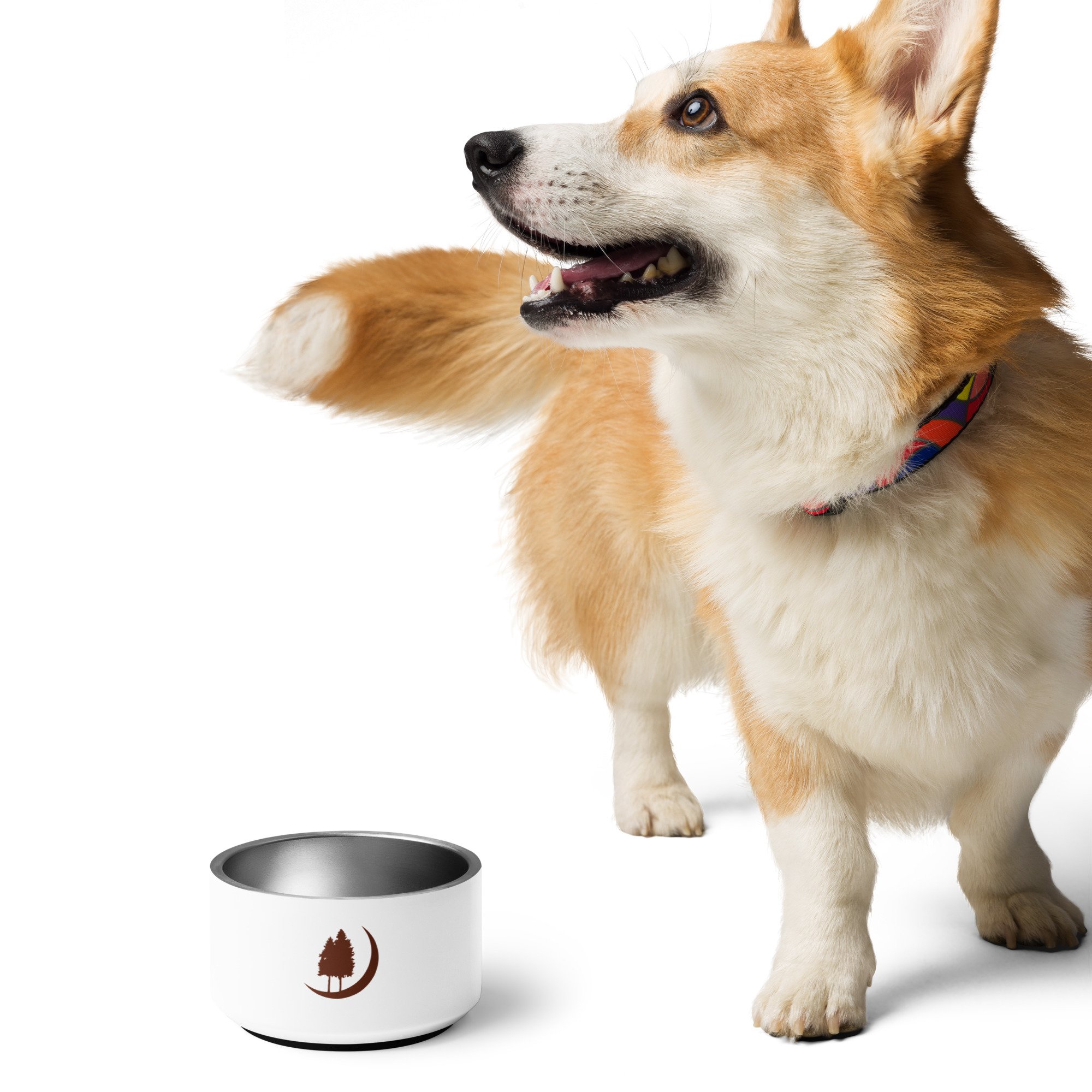 pet-bowl-white-18oz-front-2-6463d16dbe9fb.jpg