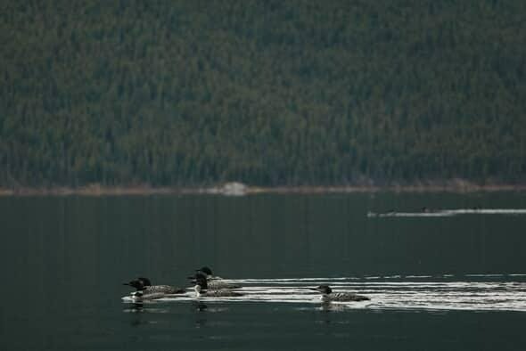 IMG_20250614_080351_449.jpg