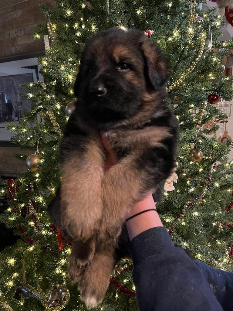 WhatsApp Image 2022-12-13 at 12.39.22 PM.jpeg