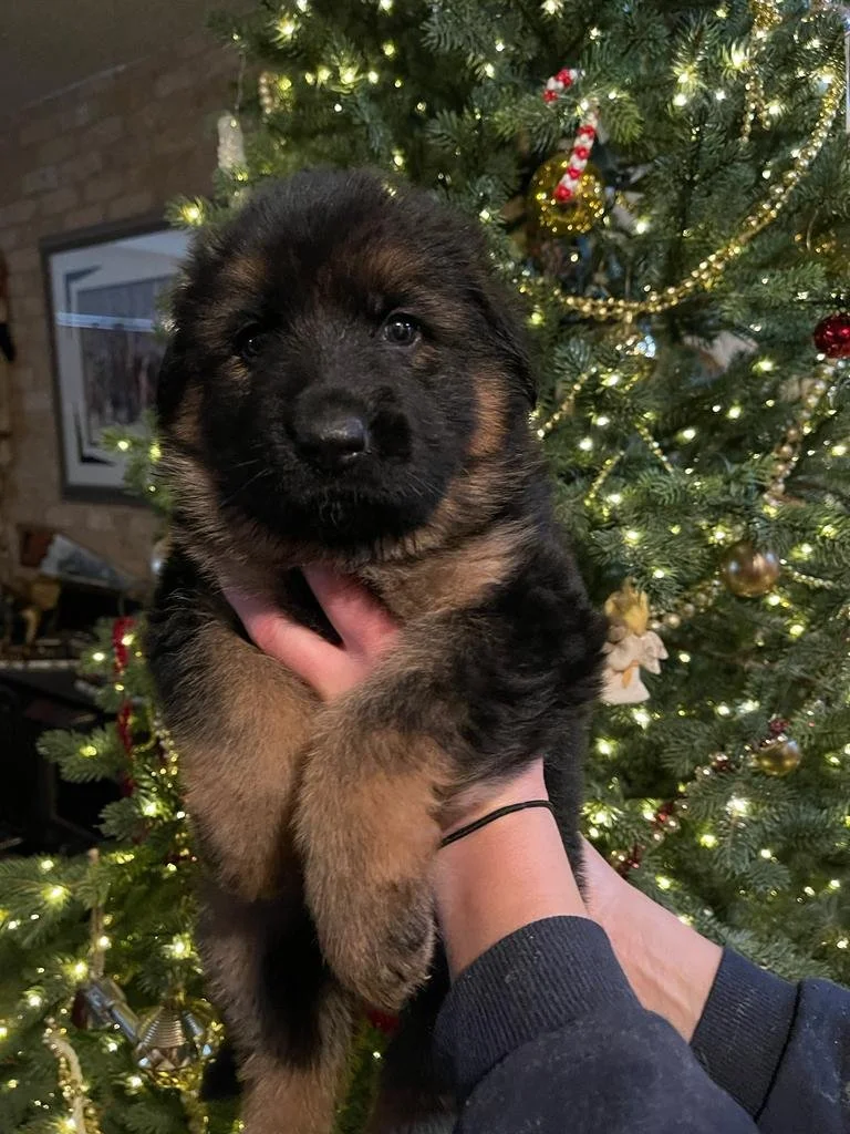 WhatsApp Image 2022-12-13 at 12.34.51 PM.jpeg