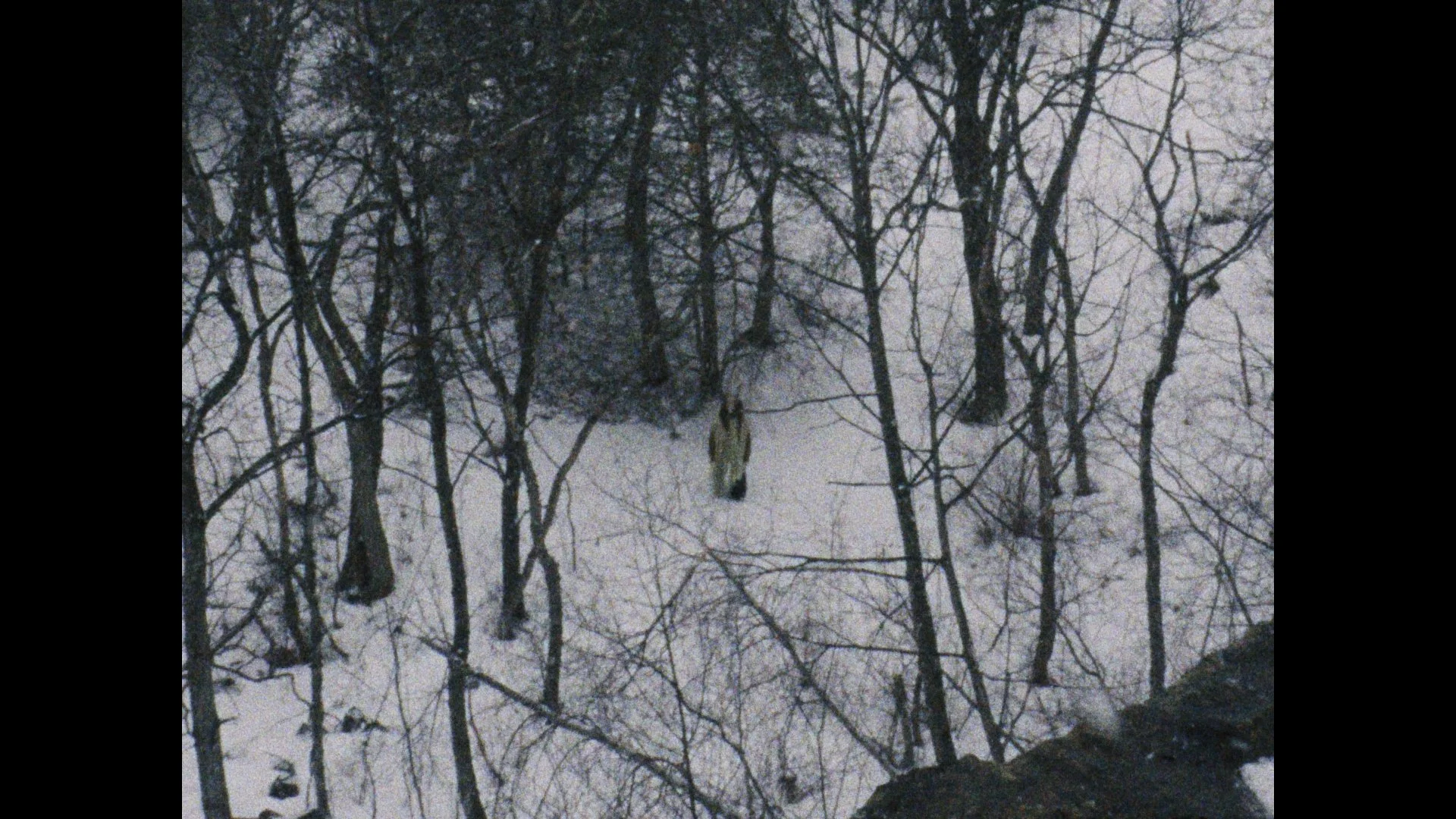 Still 2026-03-04 004851_1.60.1.jpg