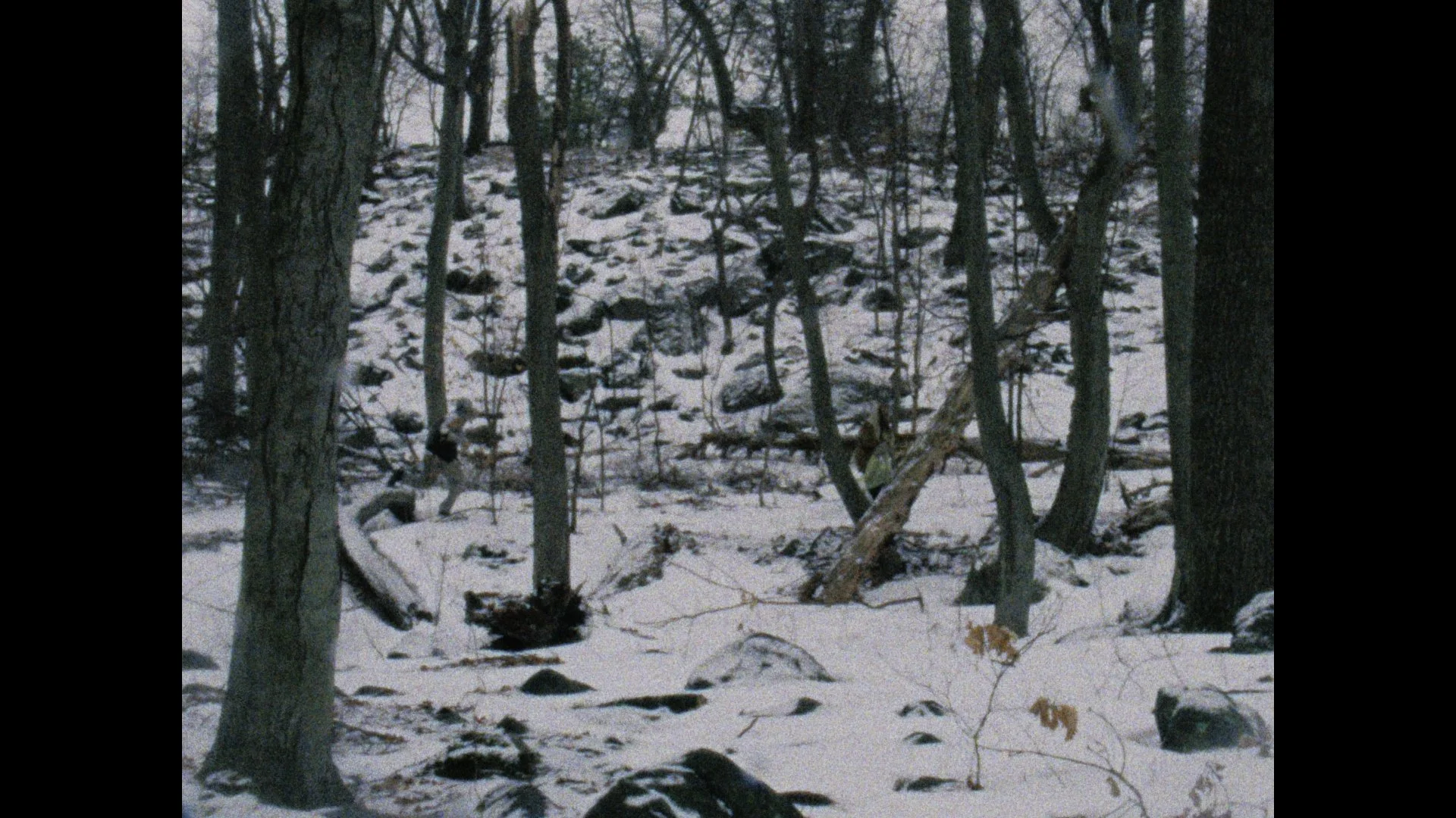 Still 2026-03-04 004851_1.103.1.jpg