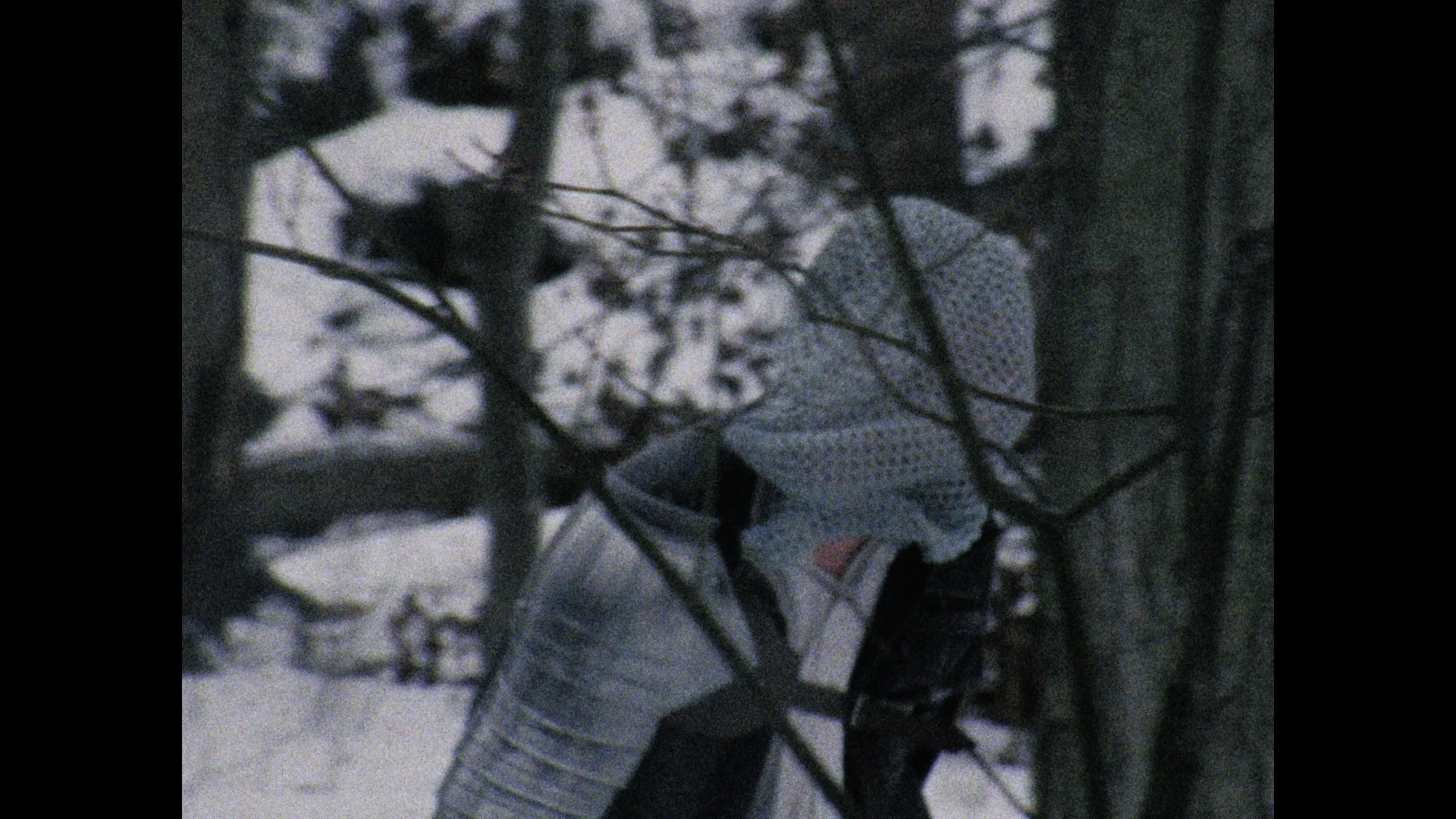 Still 2026-03-04 004851_1.108.2.jpg