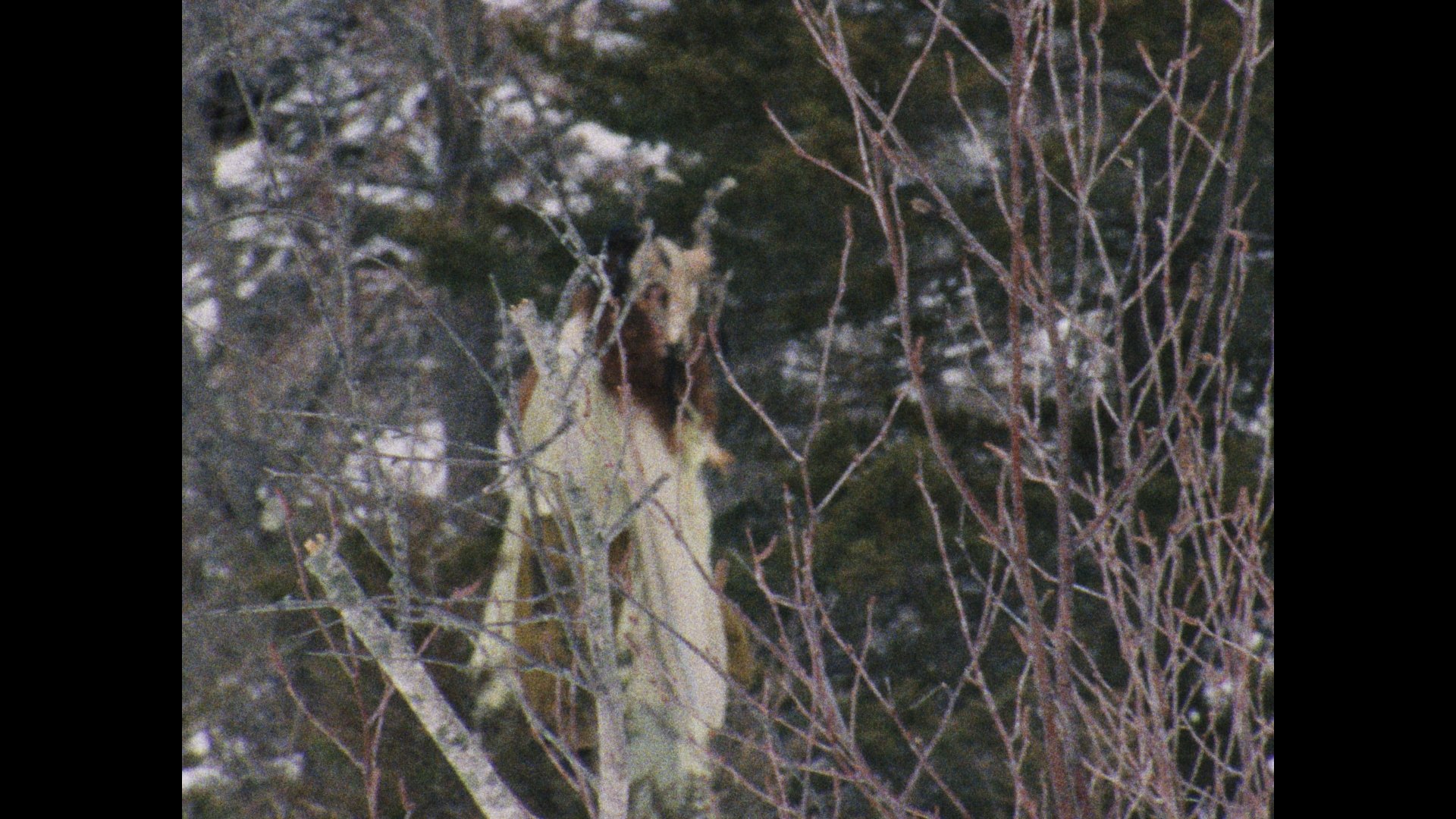 Still 2026-03-04 004851_1.34.1.jpg