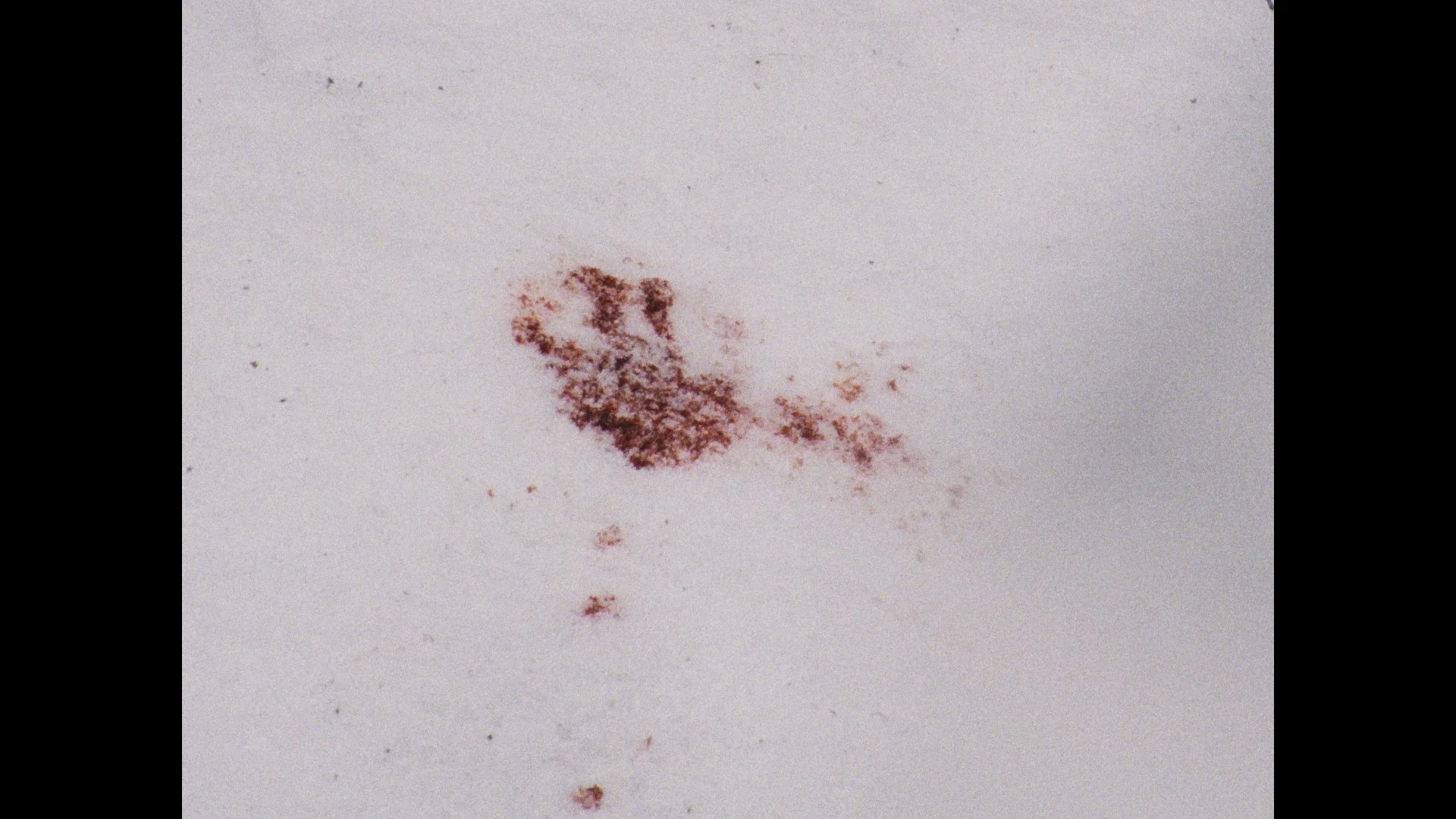 Still 2026-03-04 004851_1.21.1.jpg