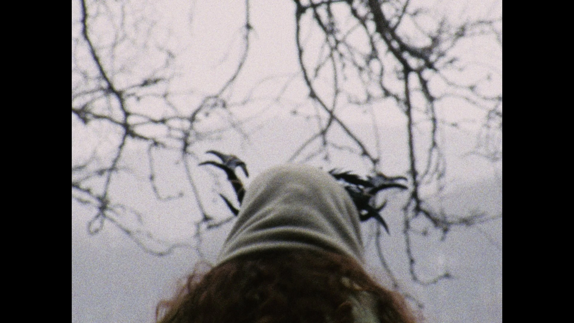 Still 2026-03-04 004851_1.14.3.jpg