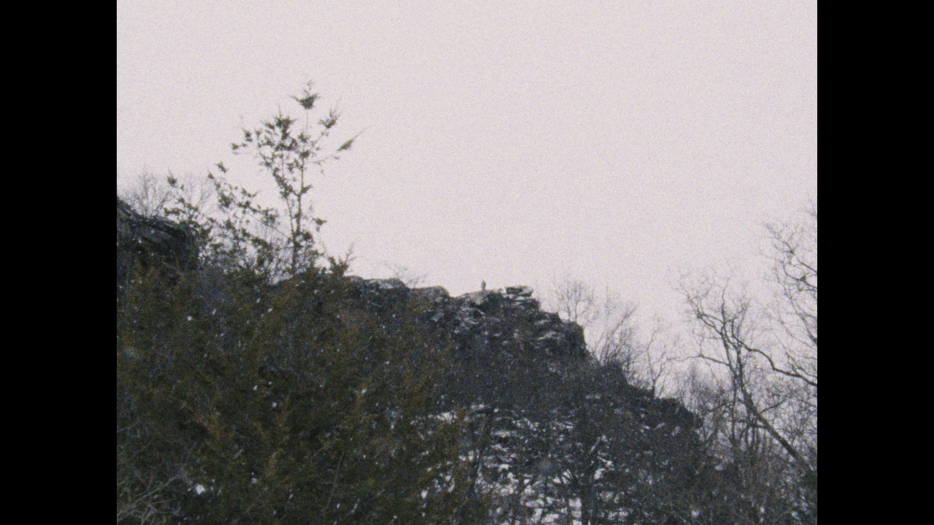 Still 2026-03-04 004851_1.49.1.jpg