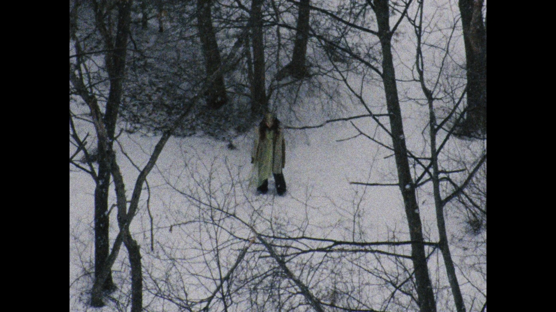 Still 2026-03-04 004851_1.62.1.jpg