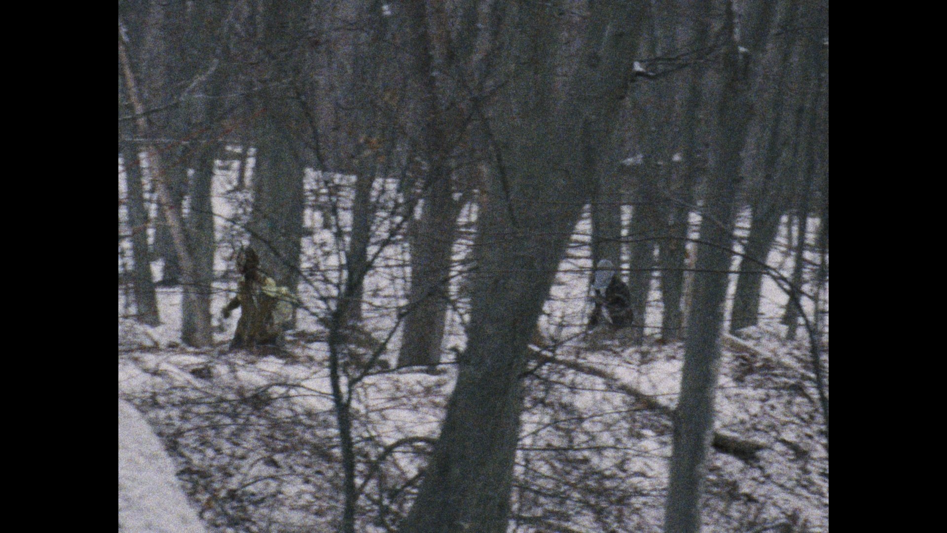 Still 2026-03-04 004851_1.77.1.jpg