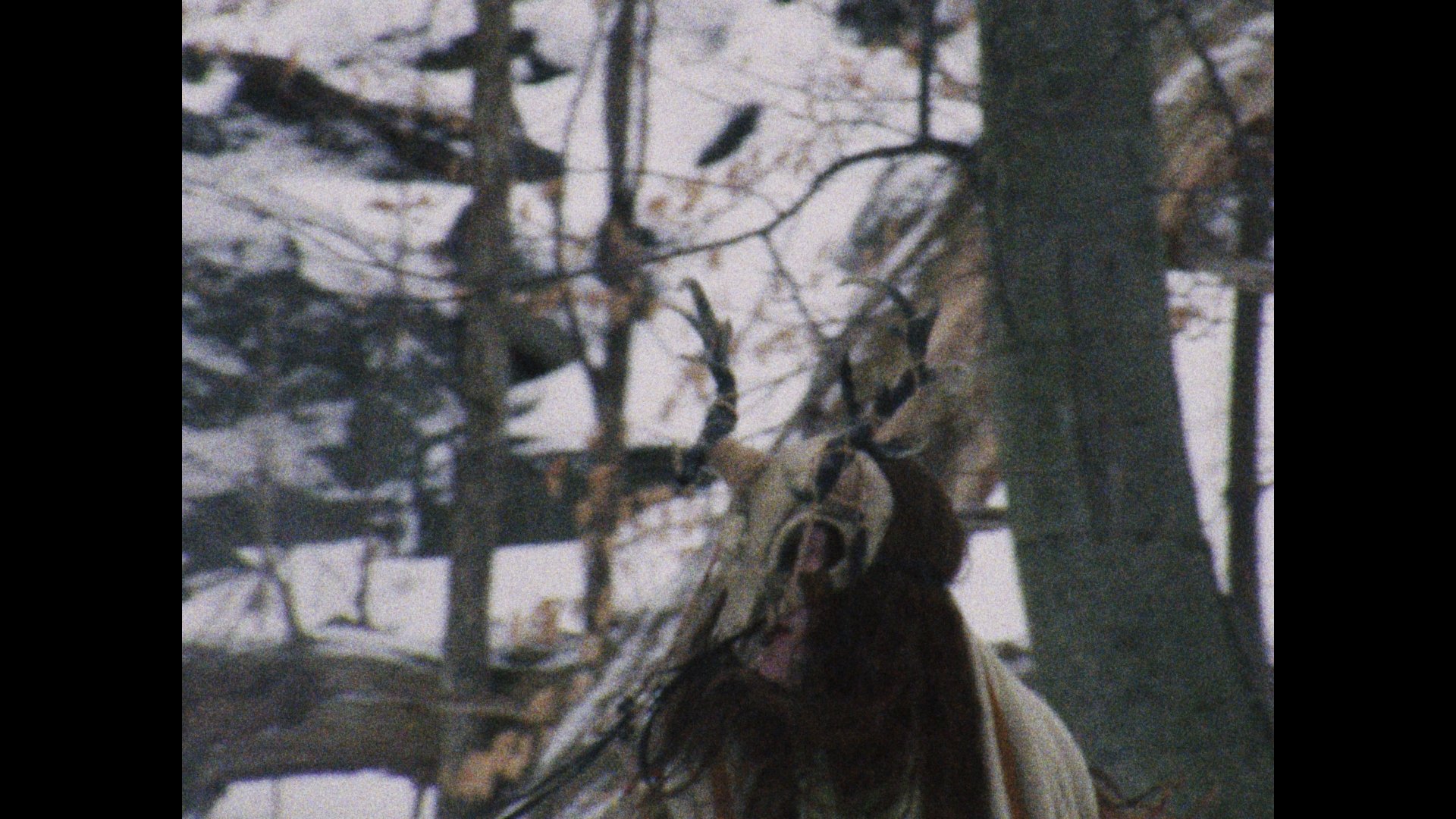 Still 2026-03-04 004851_1.106.1.jpg