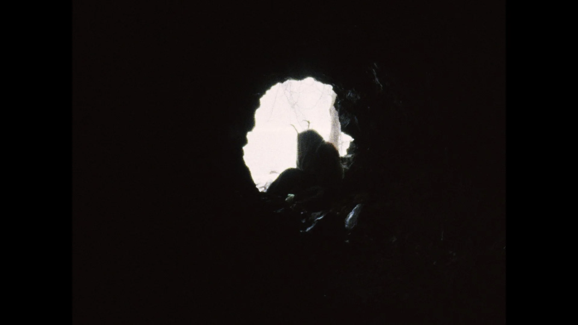 Still 2026-03-04 004851_1.11.1.jpg