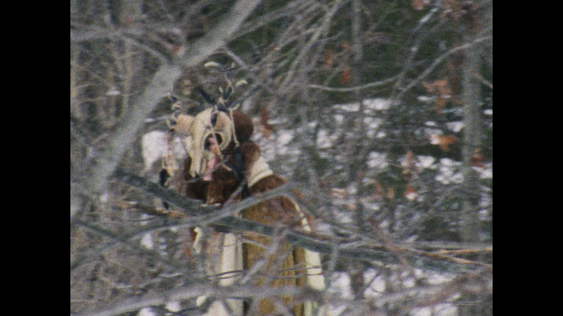 Still 2026-03-04 004851_1.34.3.jpg