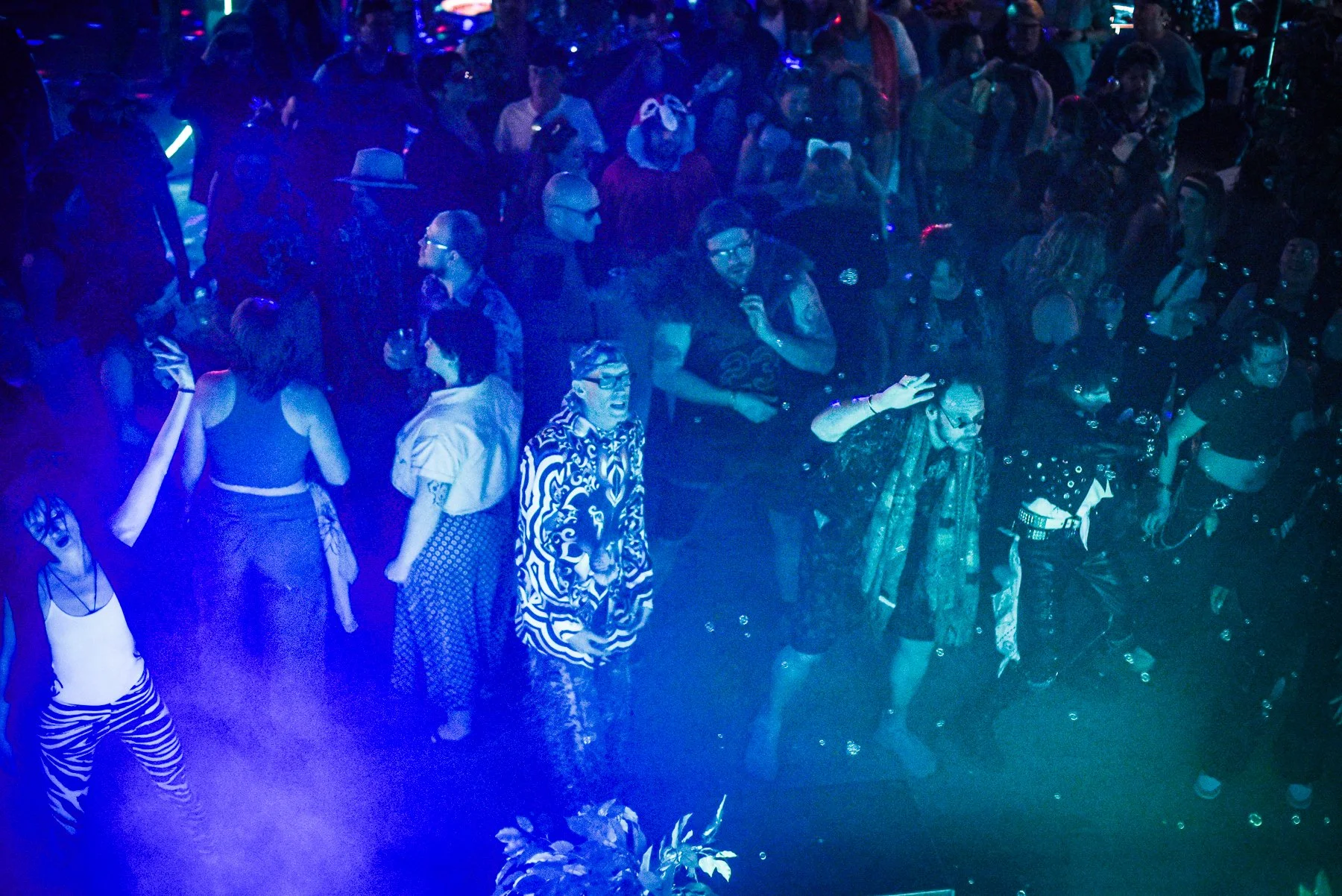 House of Fire - Jungle Boogie - selects 1 - Rachel Faller March 26 -7228.jpg