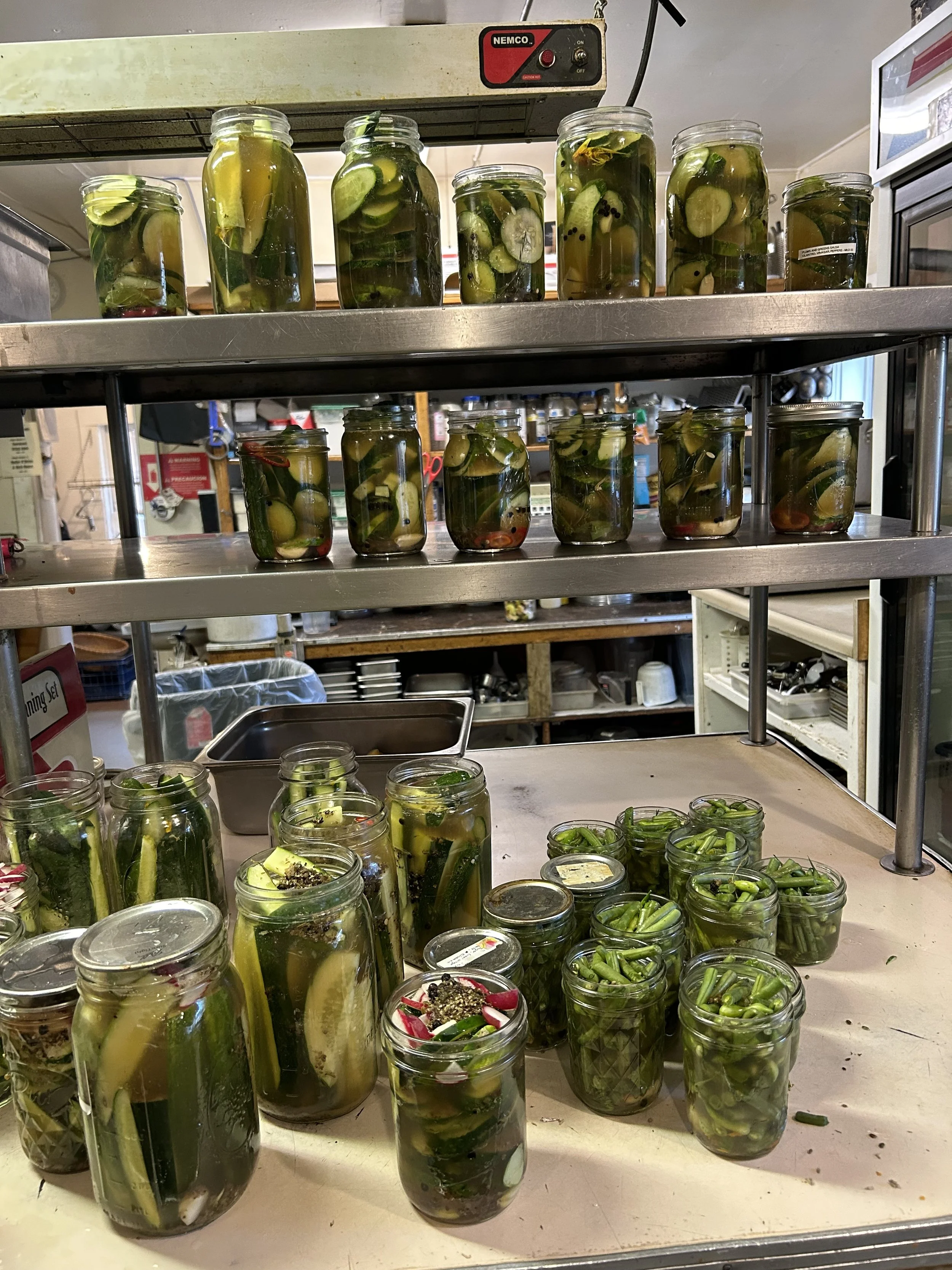 Wild Fermentation Workshop: Kimchi, Kraut &amp; Wild Vegetables