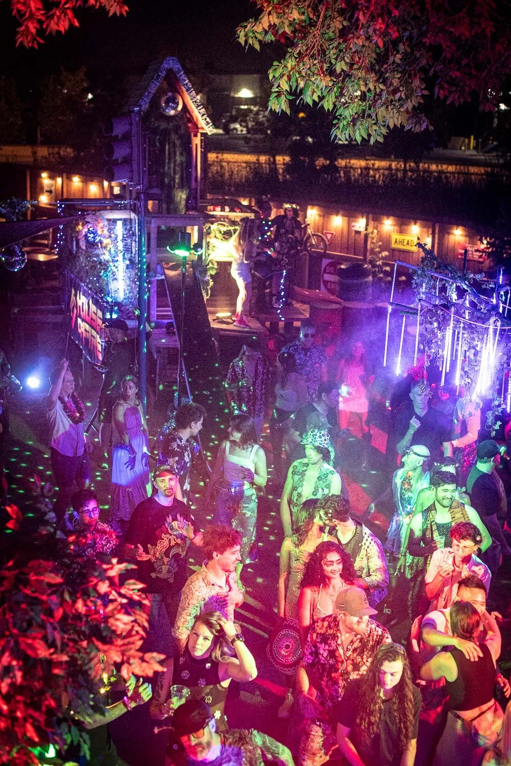 1-Electric Garden-House of Fire Photos Rachel Faller 2026-8988.jpg
