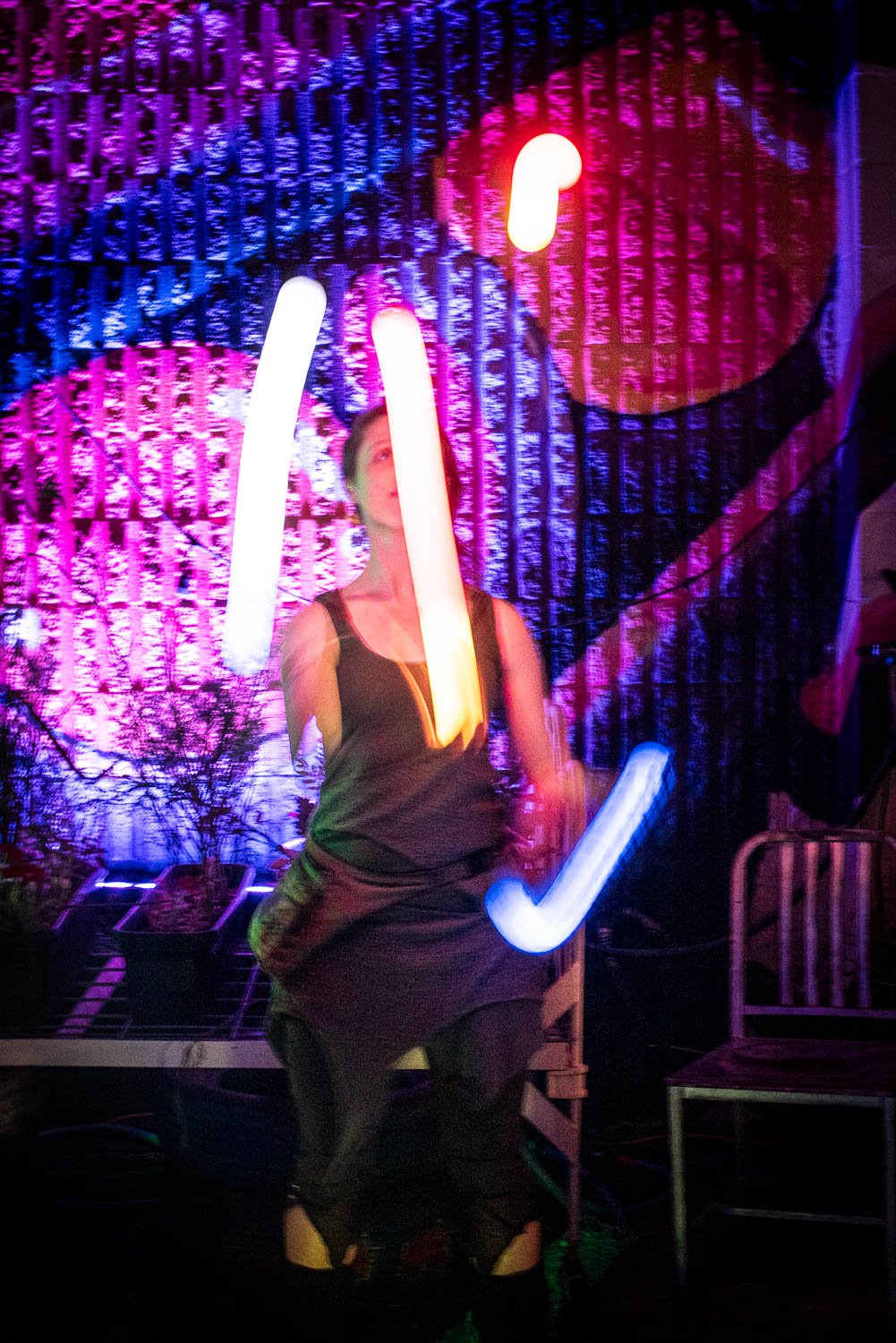 1-Electric Garden-House of Fire Photos Rachel Faller 2026-9245.jpg