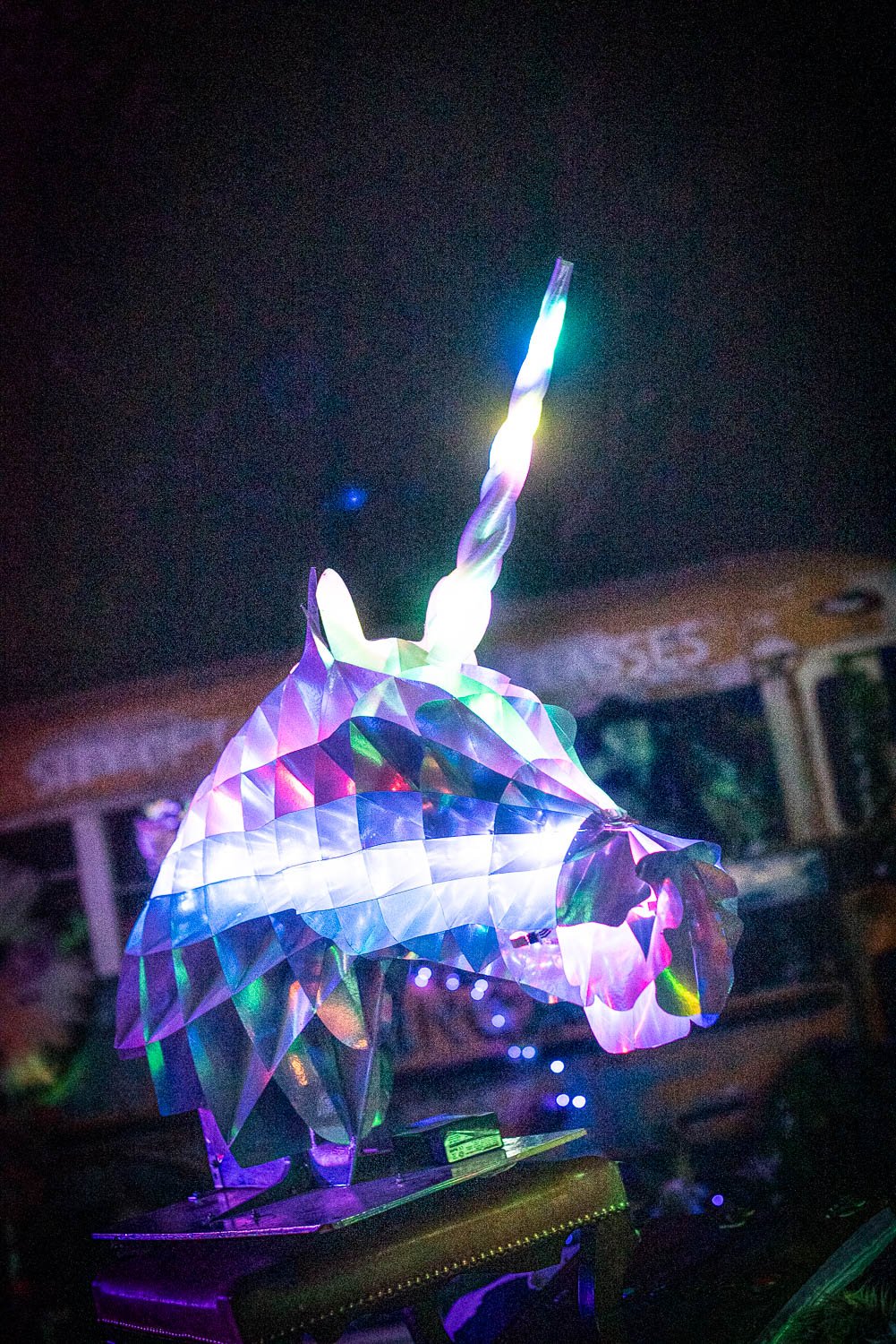 1-Electric Garden-House of Fire Photos Rachel Faller 2026-8961.jpg
