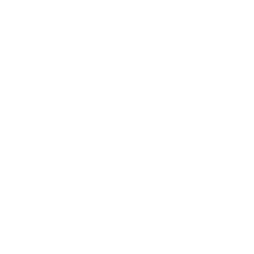 Icon of globe with airplane and discount tag