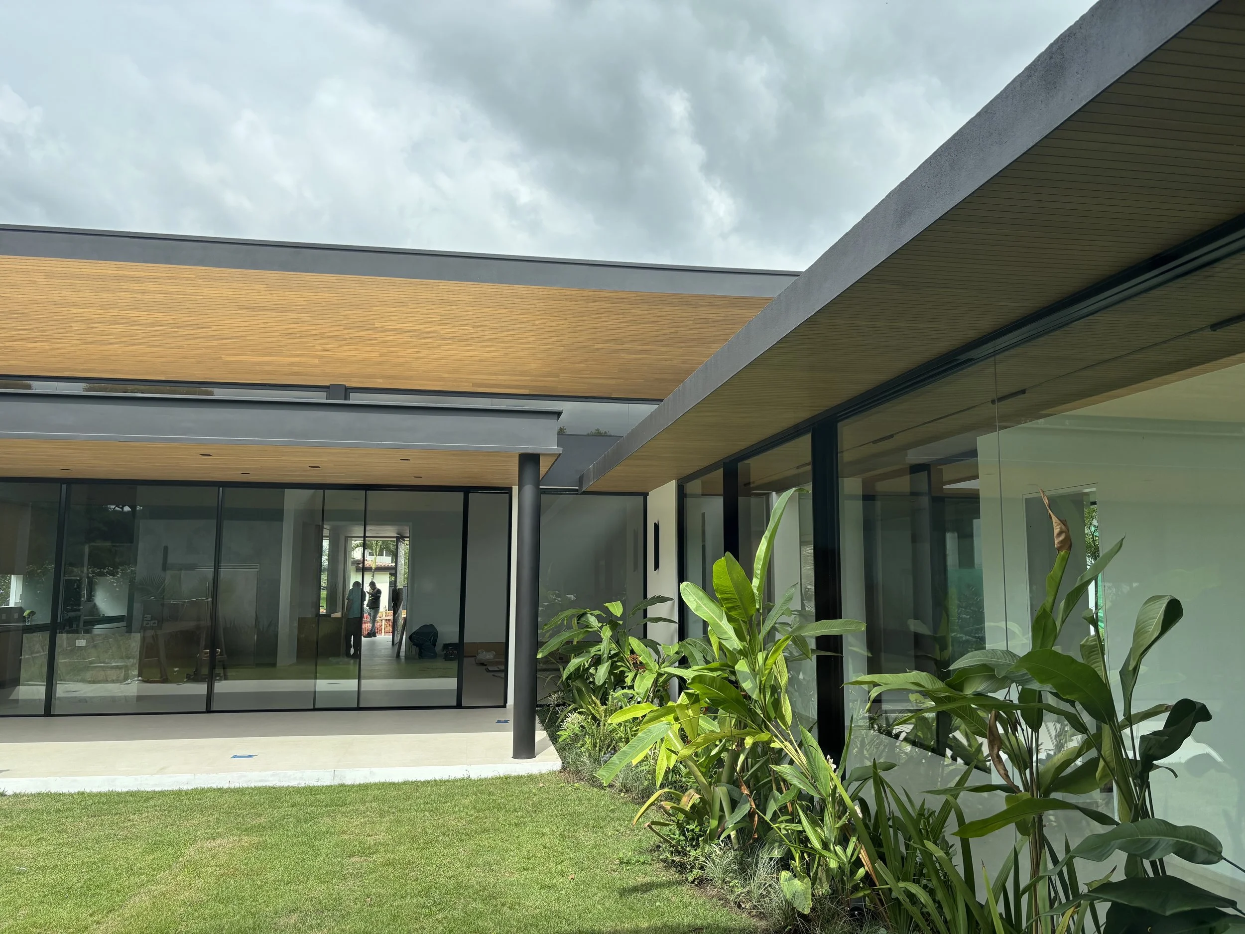 cielo teca woodpecker