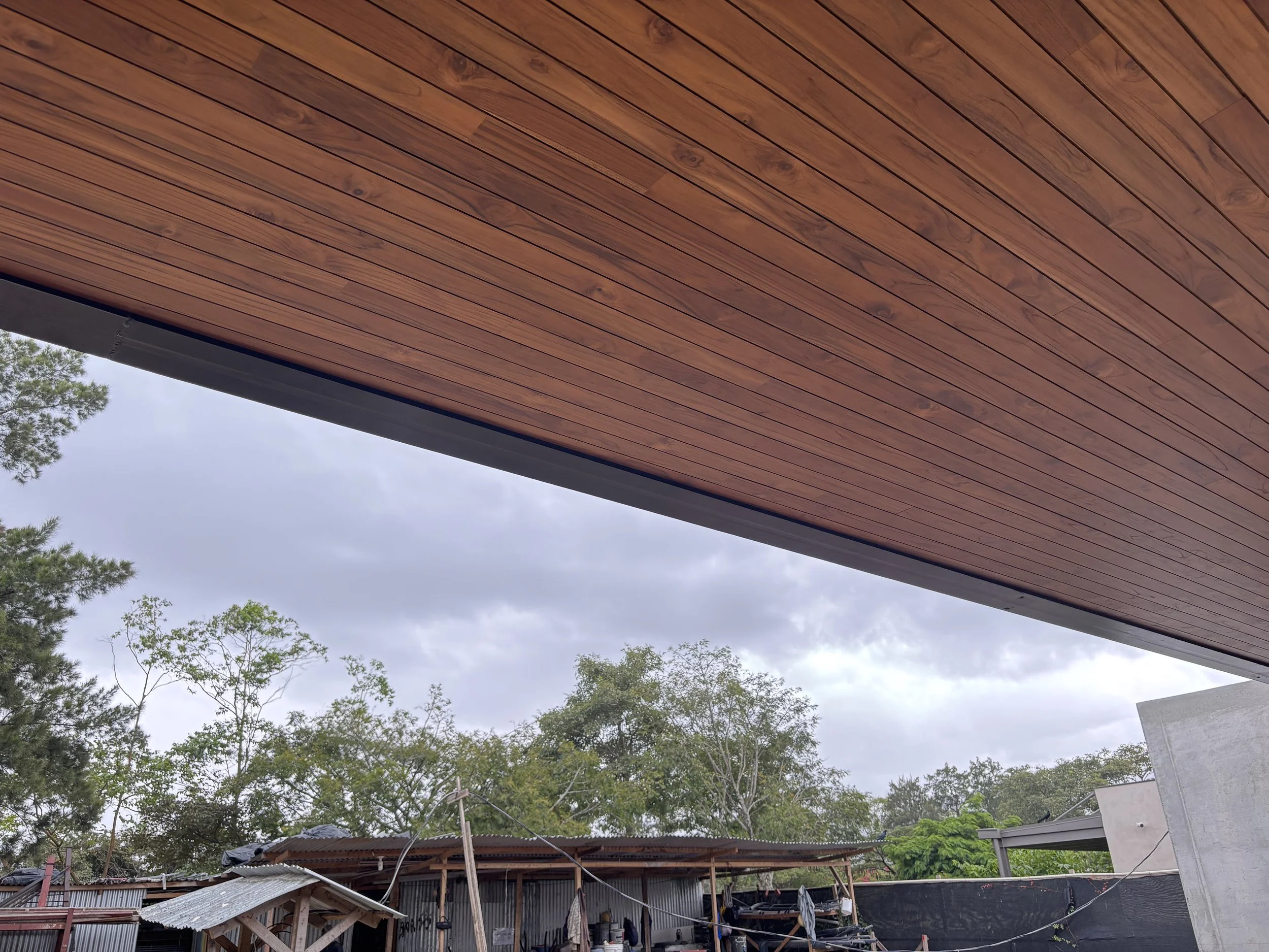 Cielo de teca acabado barniz UV miel Woodpecker