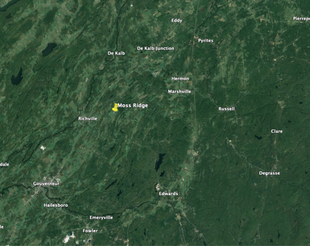 Grouse Ridge Solar System Solar Energy Project in Moss Ridge, NY — New Leaf Energy