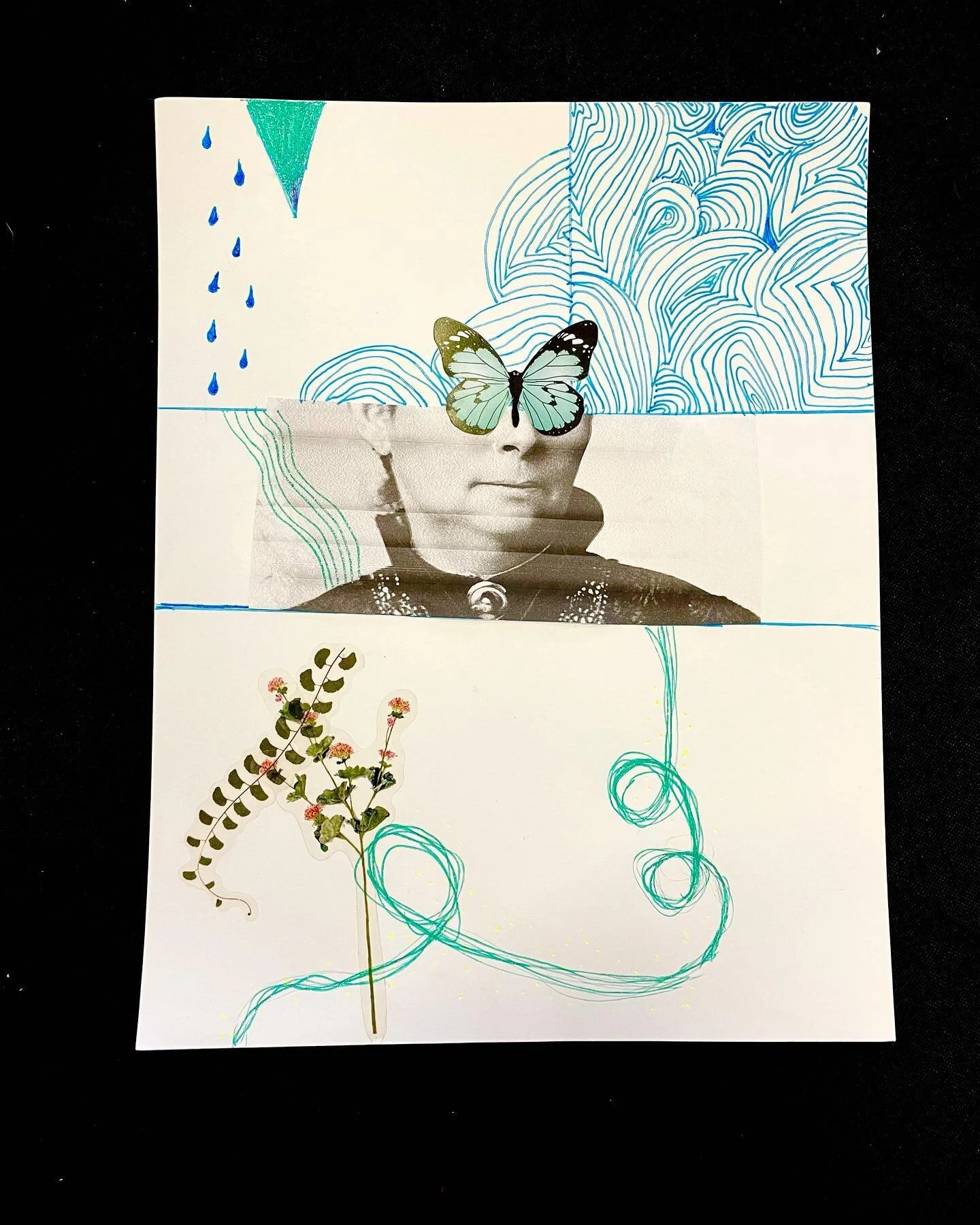 Did you know Mt. Lemmon in Tucson,AZ was named after a woman botanist? Sara Plummer Lemmon collected, studied and cataloged the plants along the 9,000ft + summit of the Santa Catalina Mountains in the early 1900&rsquo;s. Lemmon and her husband John c