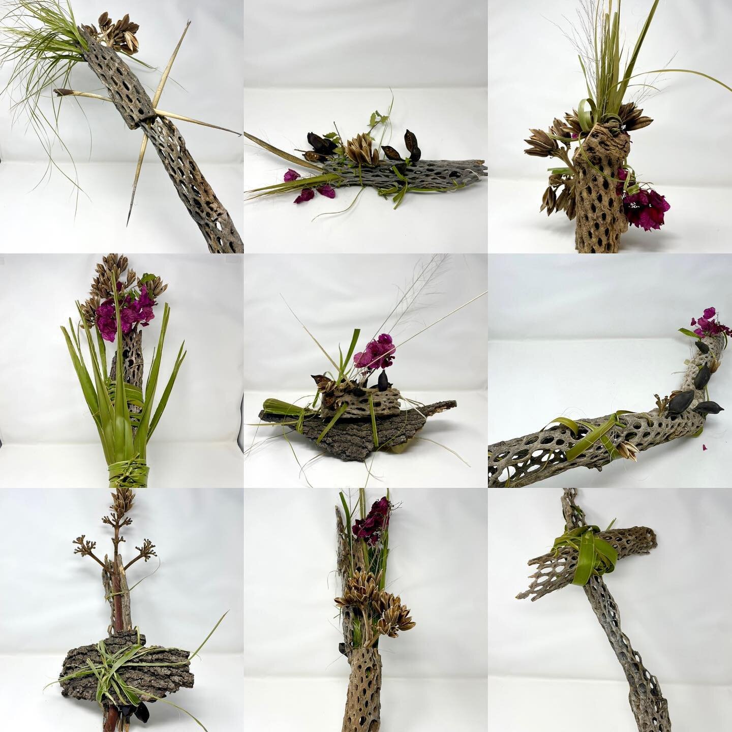 What woman won a Nobel peace prize in economics?
Elinor Ostrom
What is the tragedy of the commons? What is a common pool of resource? How do you sustain resources and communities? Who should govern those resources?

After studying the work of Elinor 