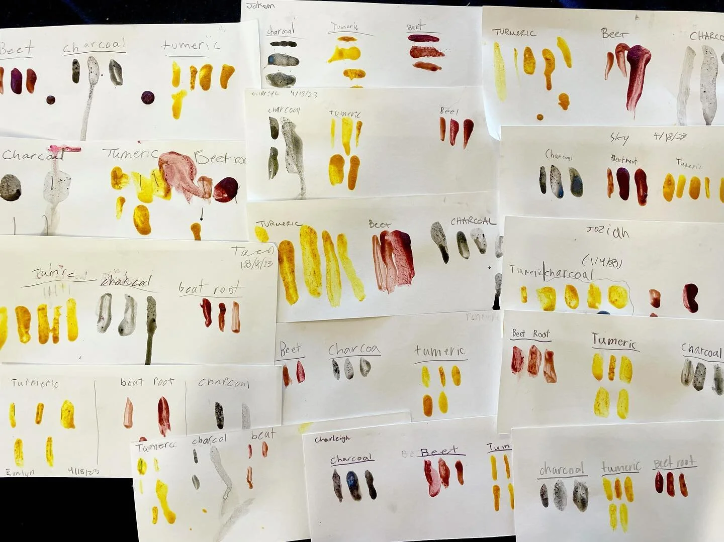 Nature pigments. Let the experiments begin. Turning plants into paint.
🌿🧪🎨
#changemakerart #earthscience #learningthroughart #pathacademy @path_edu_org