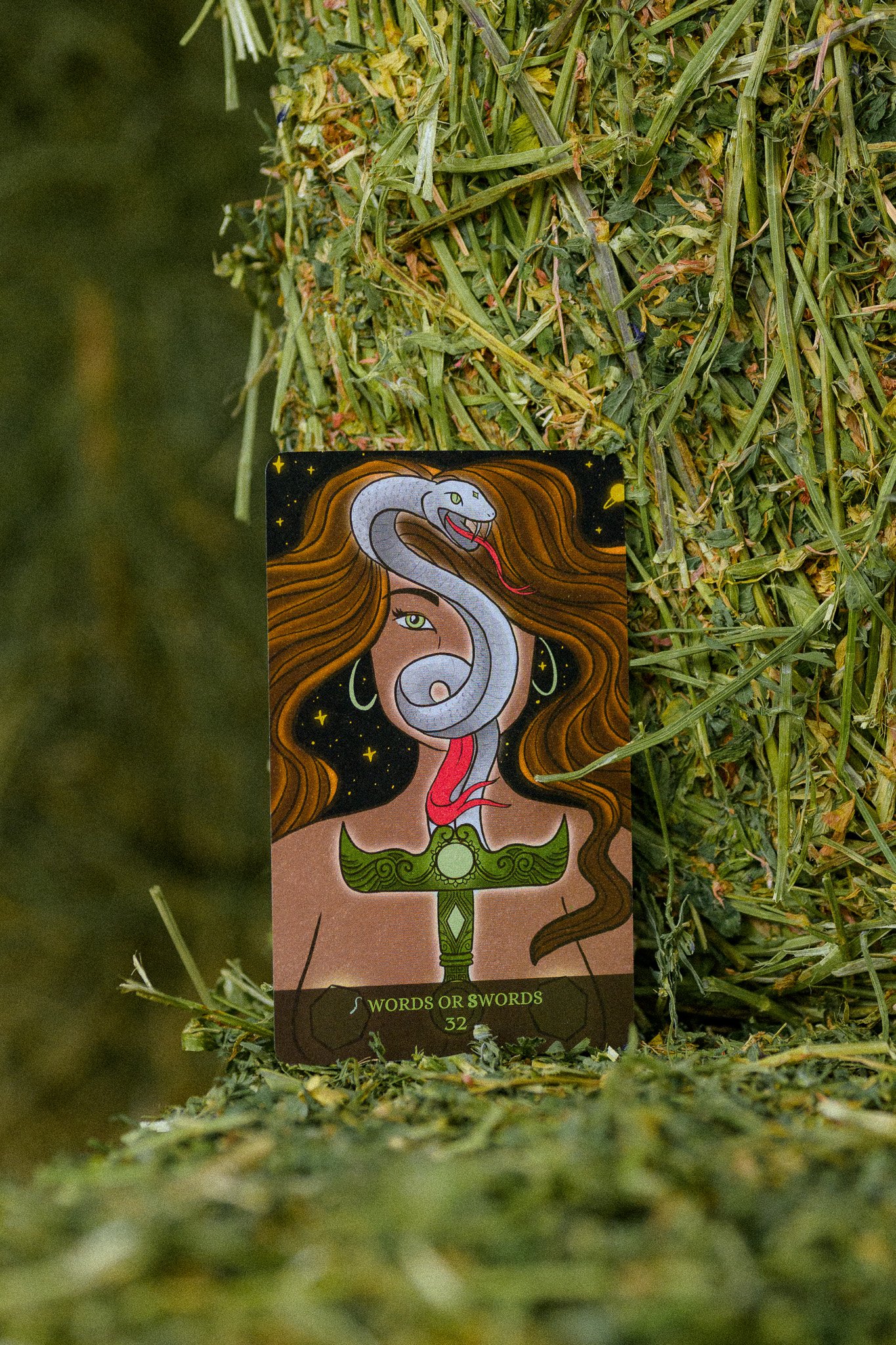 DSC_5794.jpg