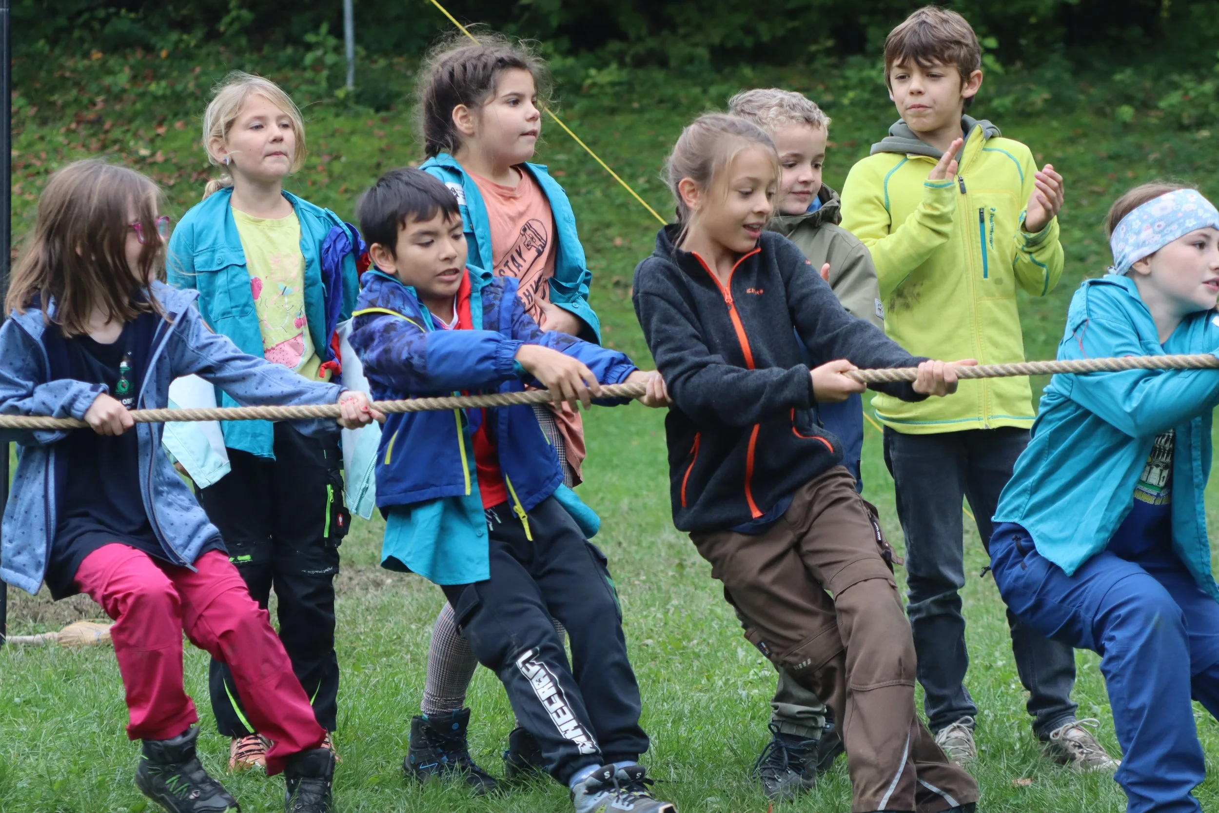 Zeitungsartikel HeLa 2025