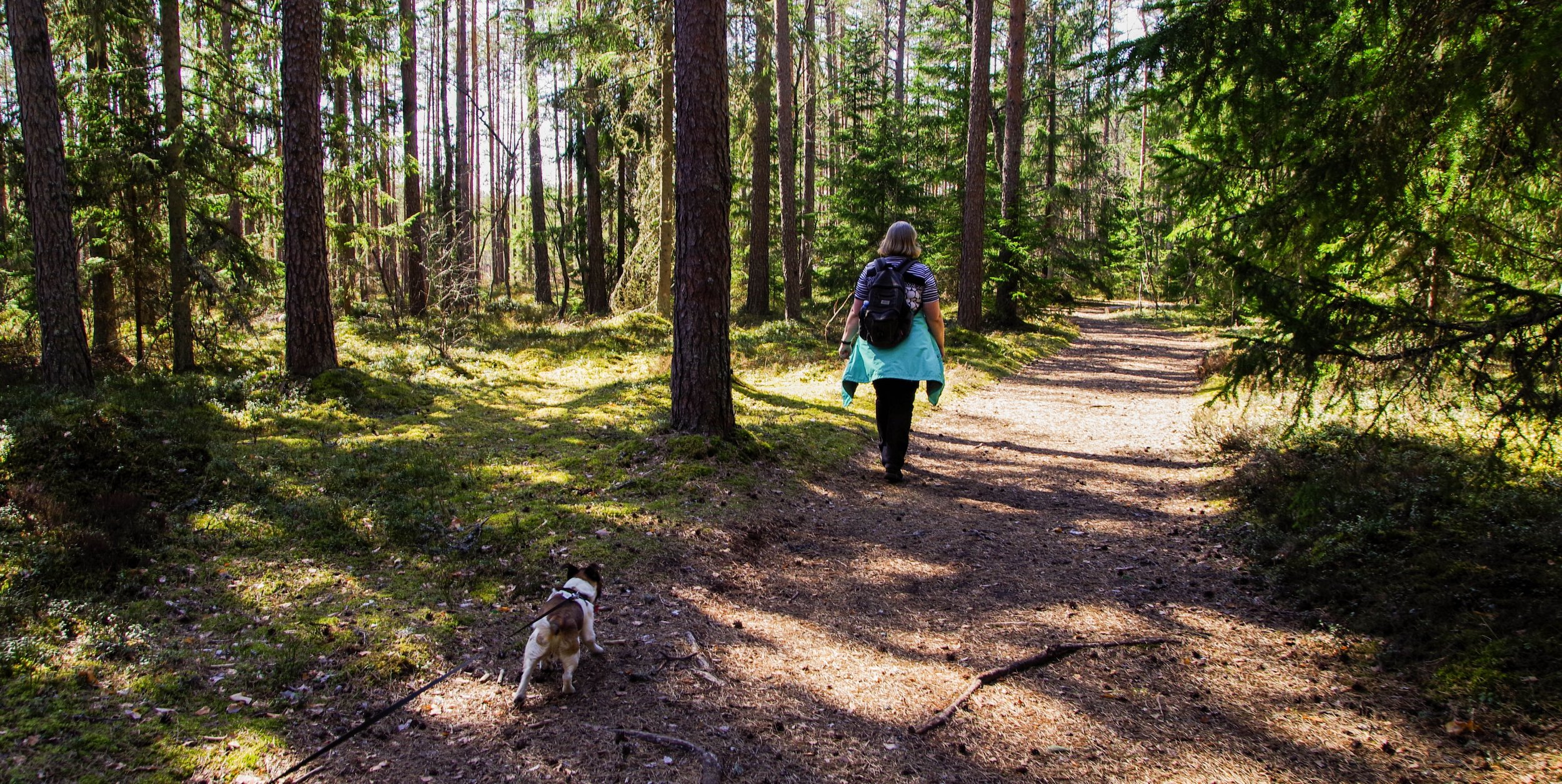 hiking-dog-lady-trail.jpg