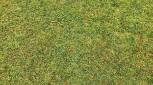Any Day Golf - Photo 6