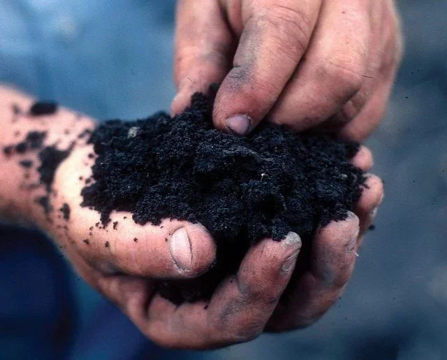 handful+soil.jpg