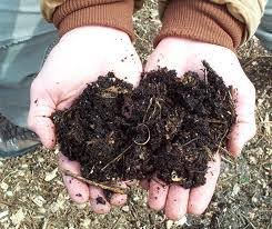 Free Compost Classes —Spring 2026