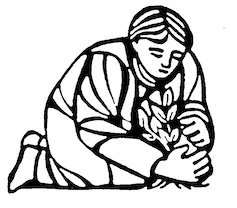 Overview of Classes 2026