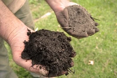 Why Test your Soil?