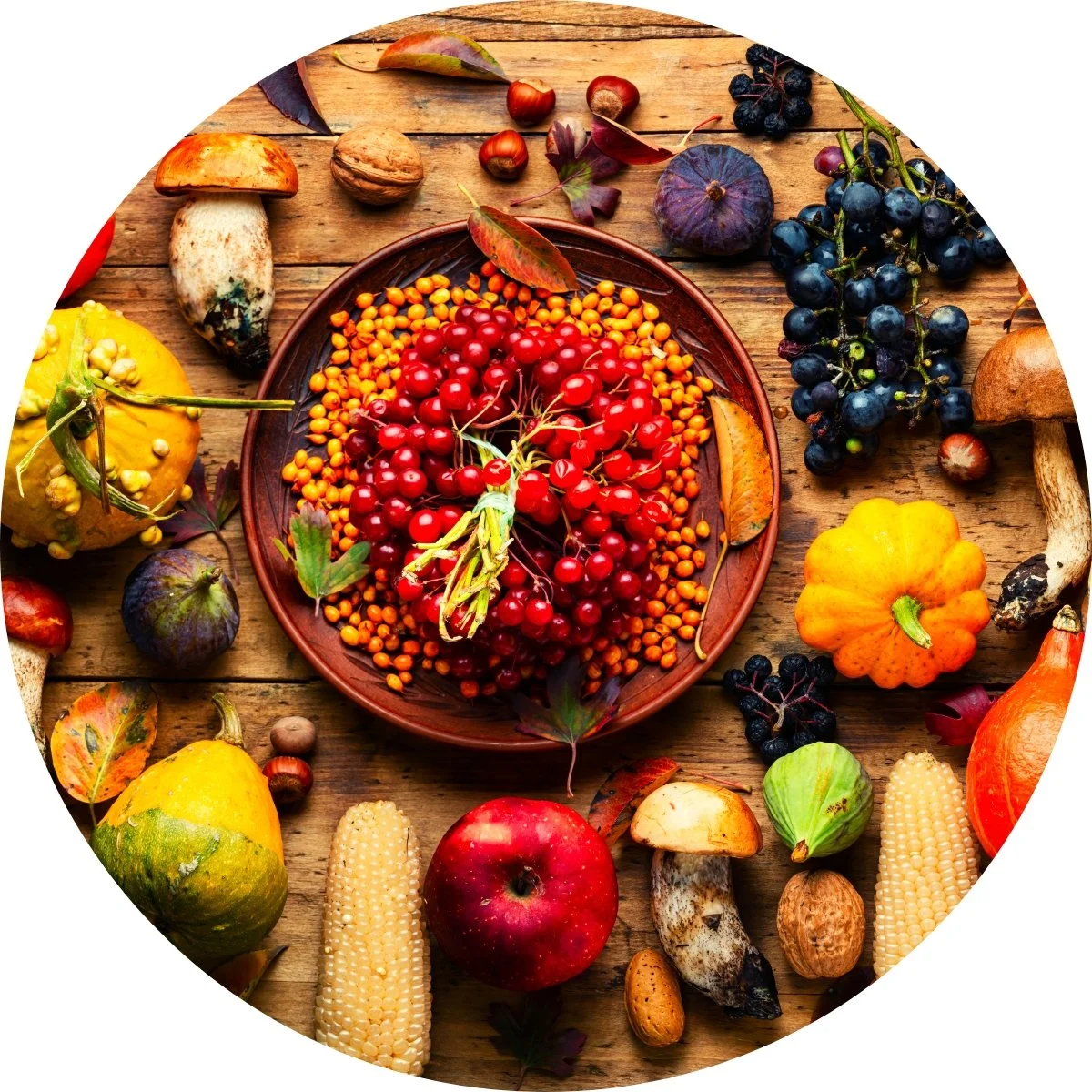 Autumn Equinox.jpg