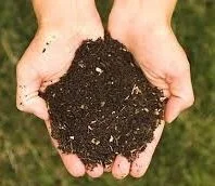 Soil Health--Do You Have It?  How to Get It?