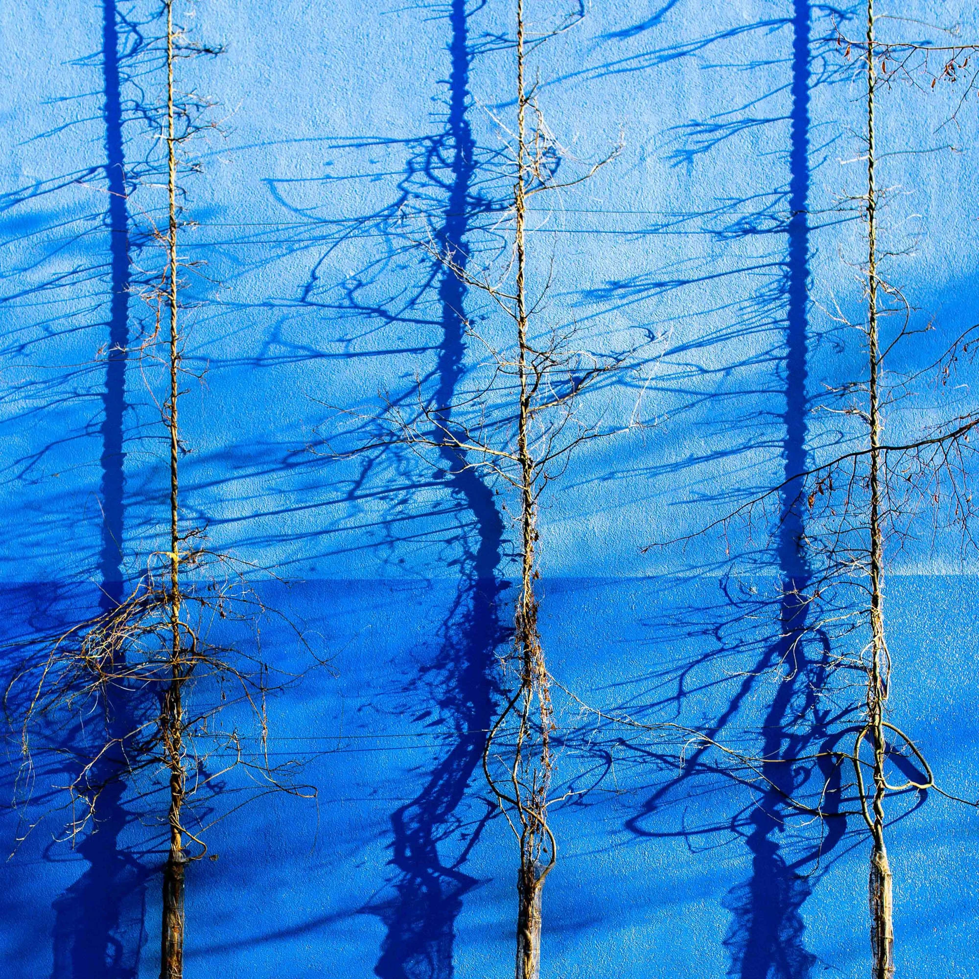 Still Life for InvisibleMan.Photography-12.jpg