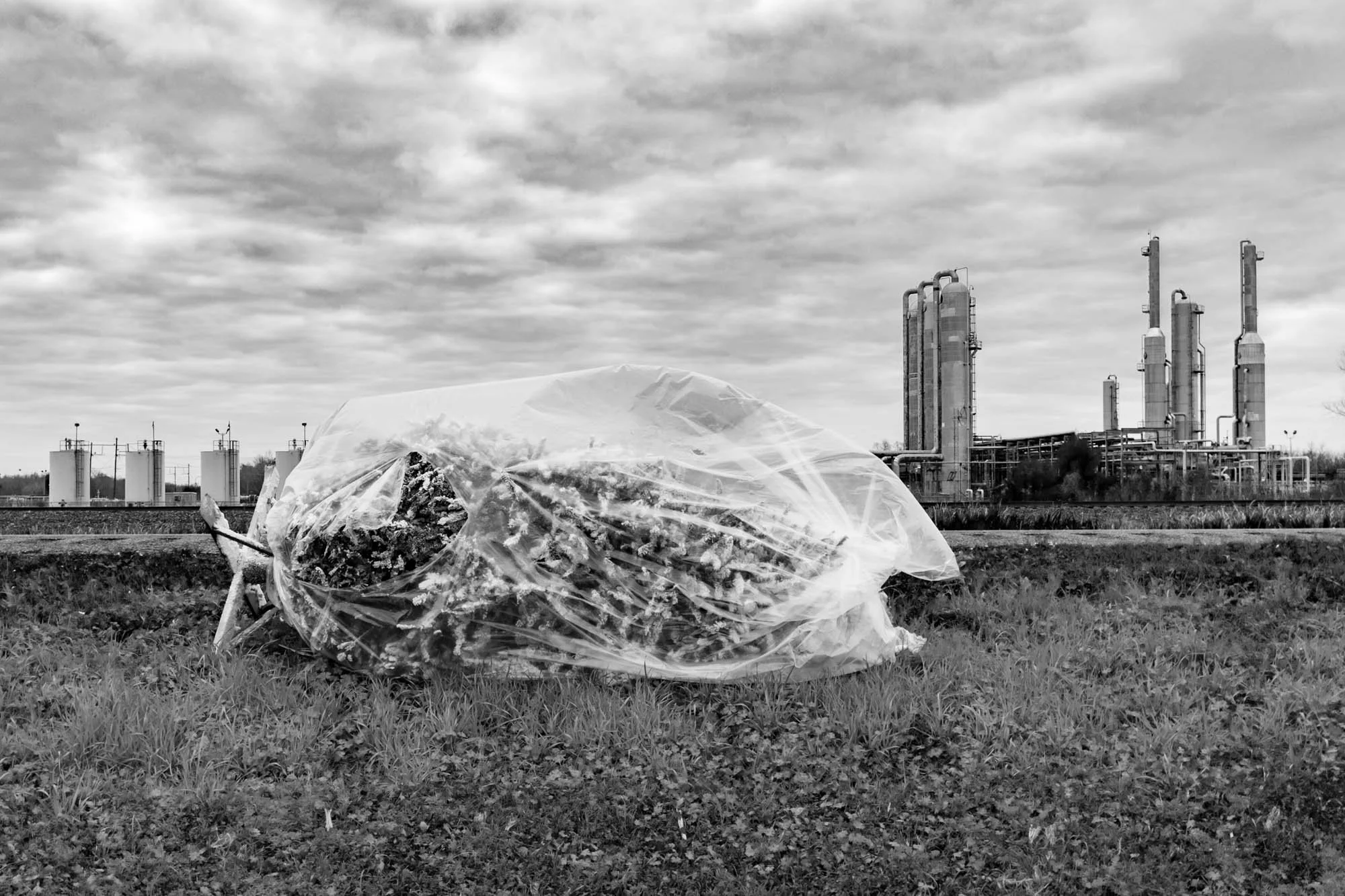 Still Life for InvisibleMan.Photography-4.jpg