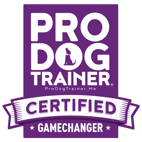 PDT-Logo.png