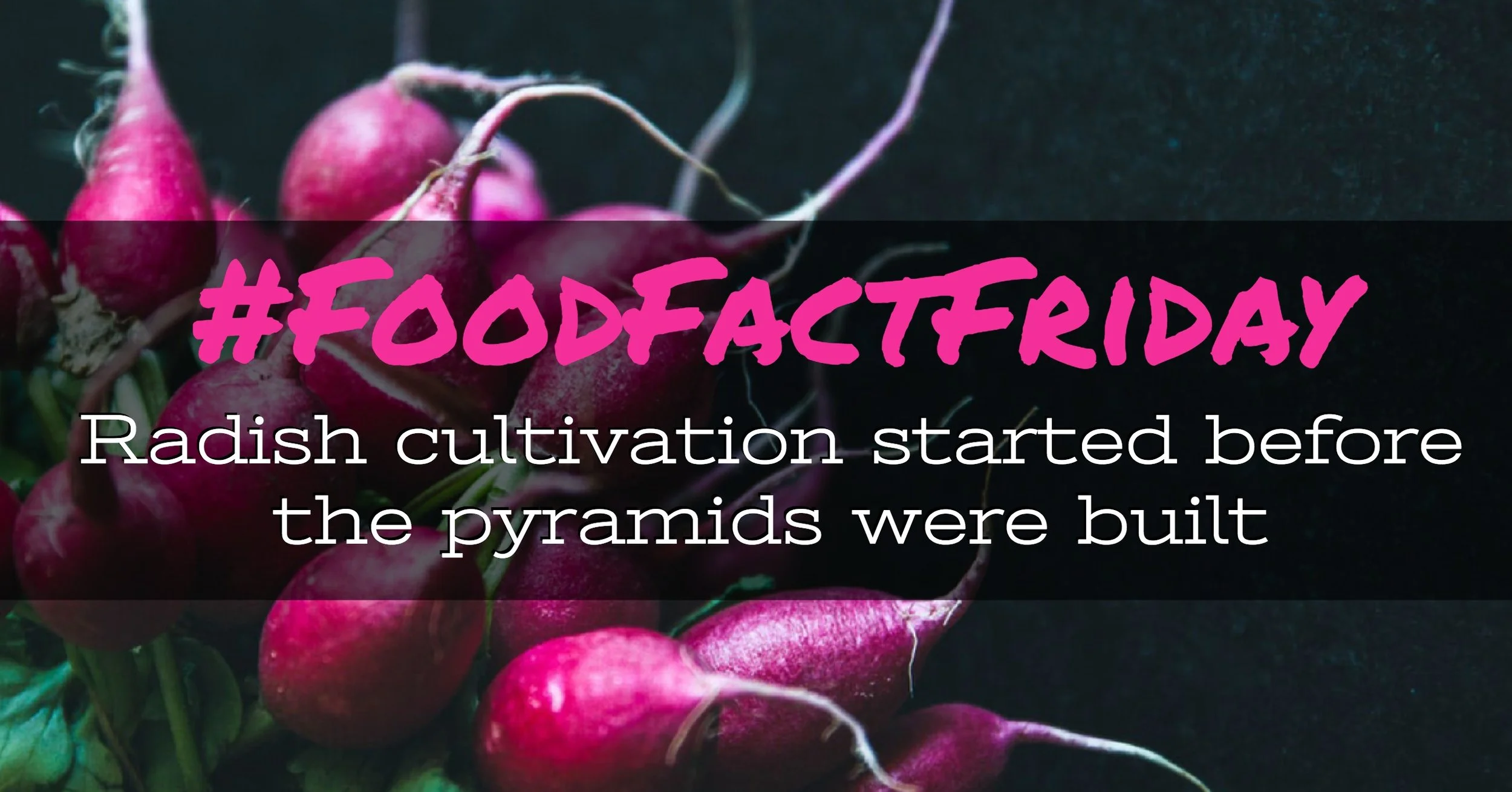 Food Fact Friday_02_Facebook.jpg
