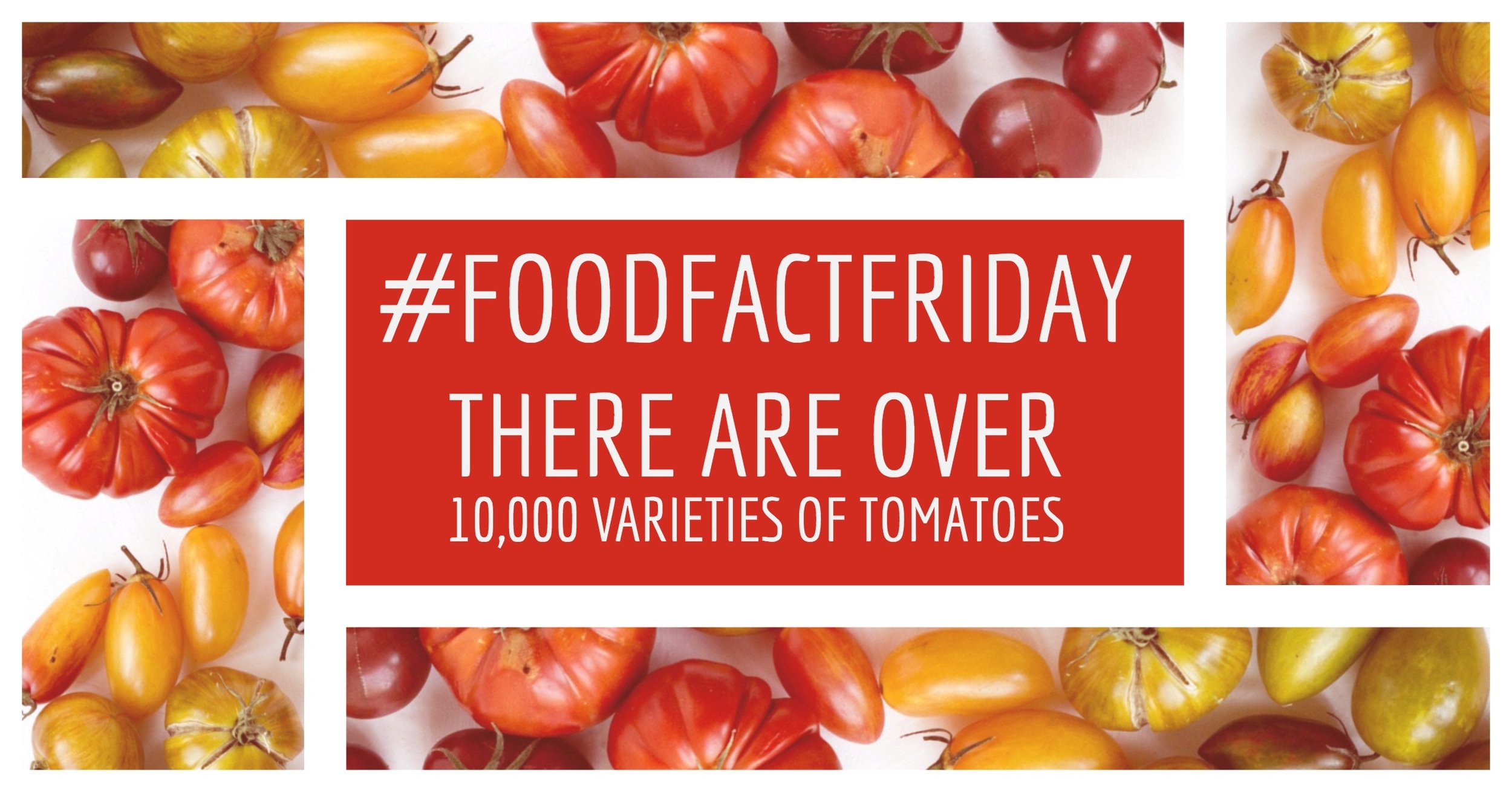 Food Fact Friday_04_Facebook.jpg