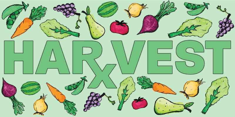 Harvest_Draft_02.png