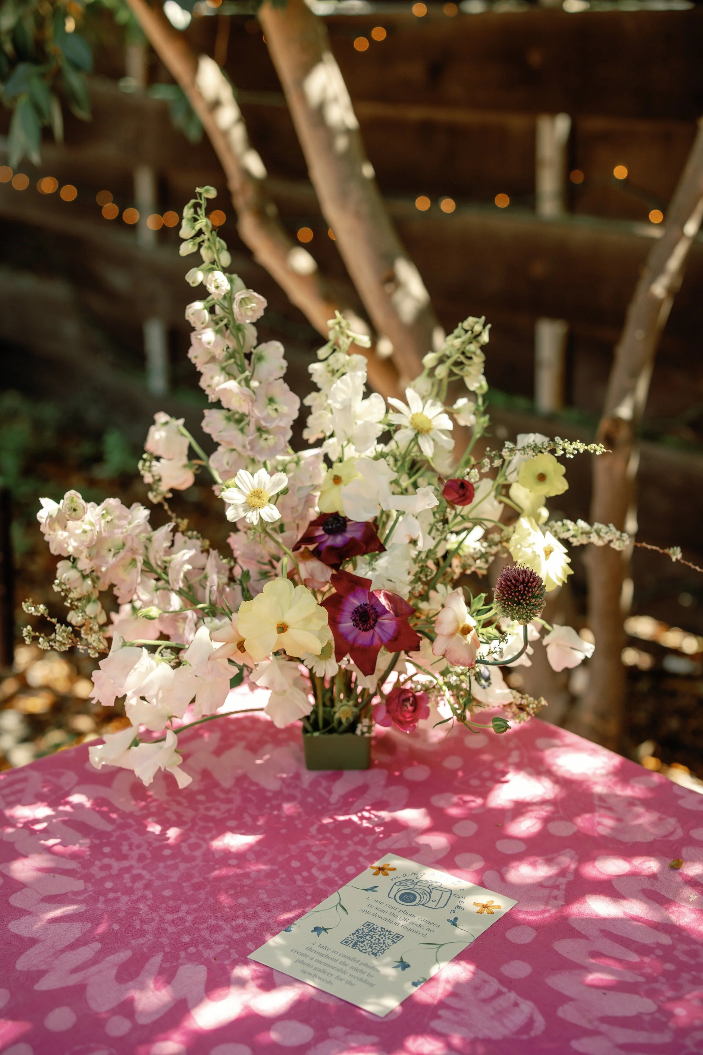 AnnieAPhoto-0641.jpg