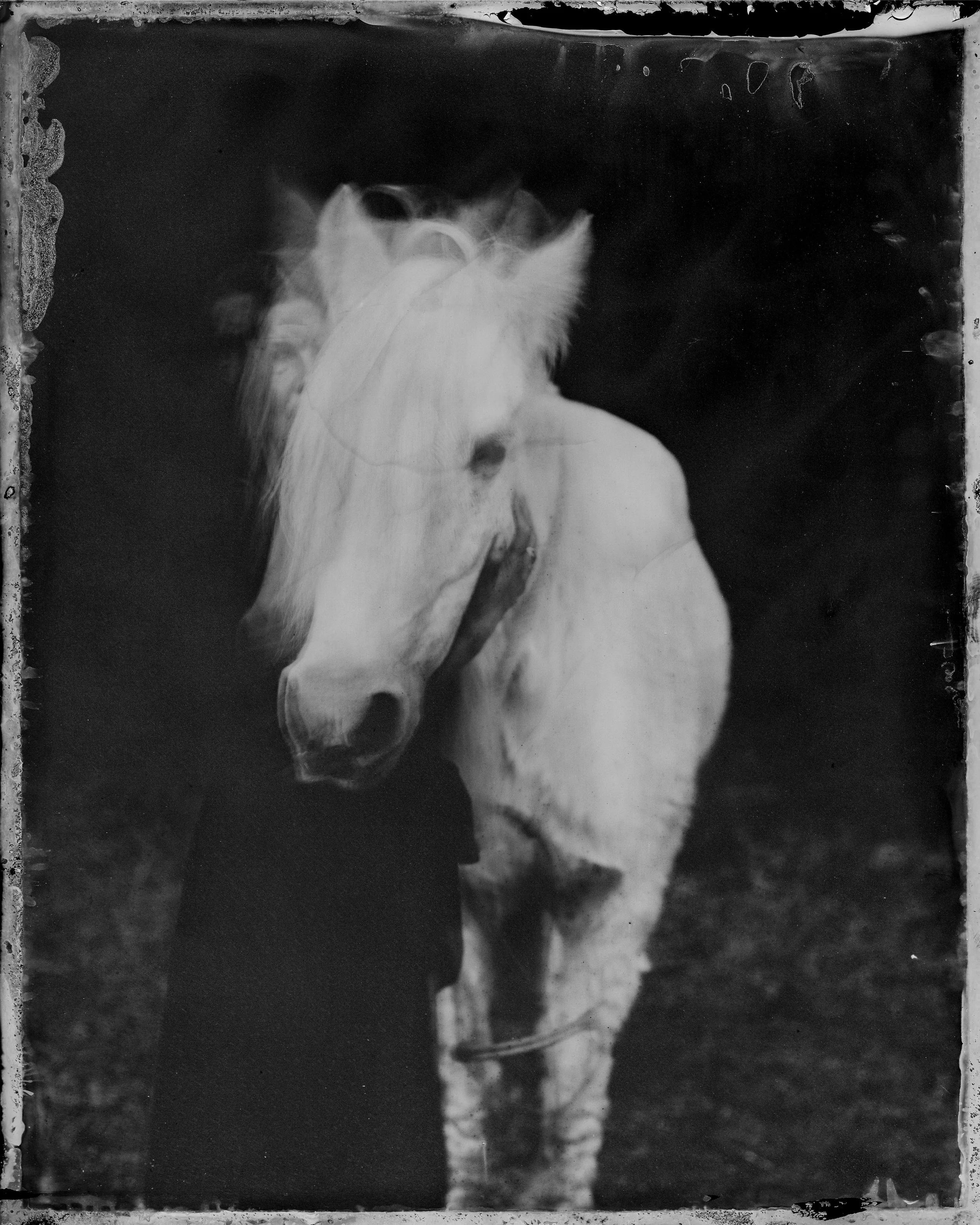 Northcoasttintypes-19393256.jpg