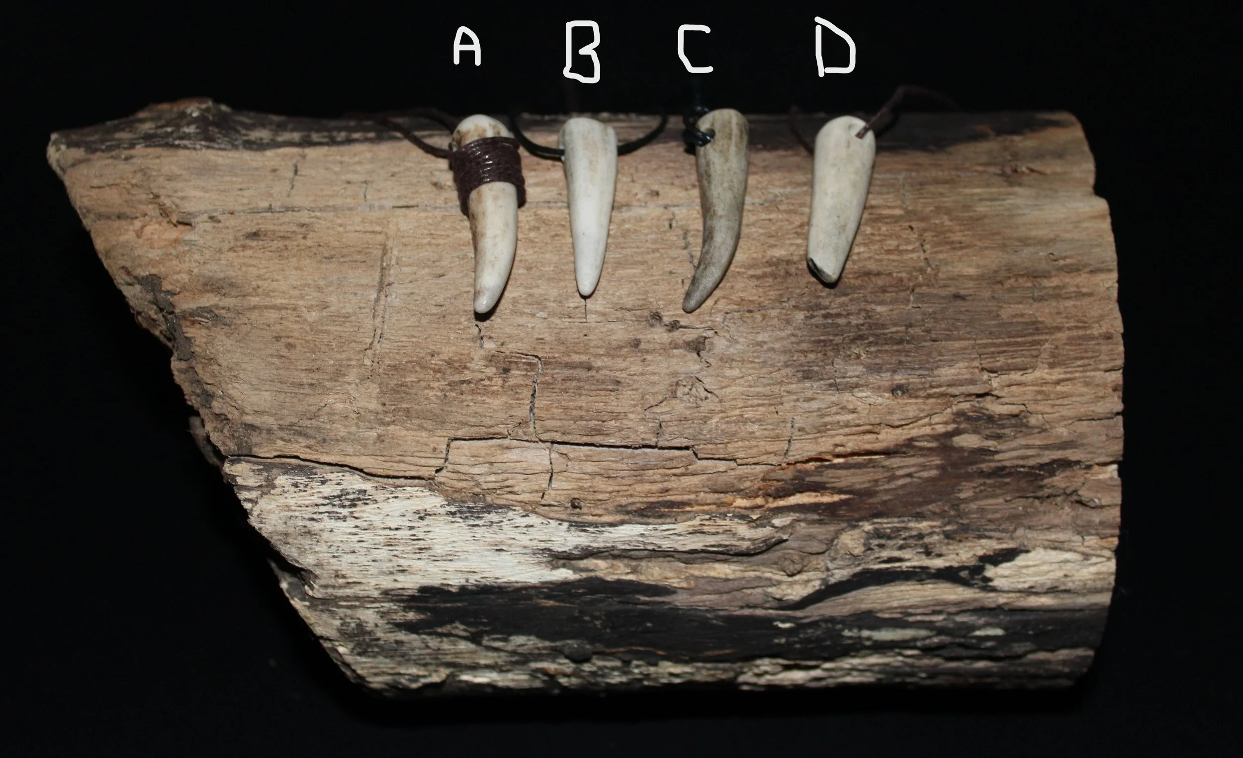 RV0037 RV0038 RV0039 RV0040 P1.JPG