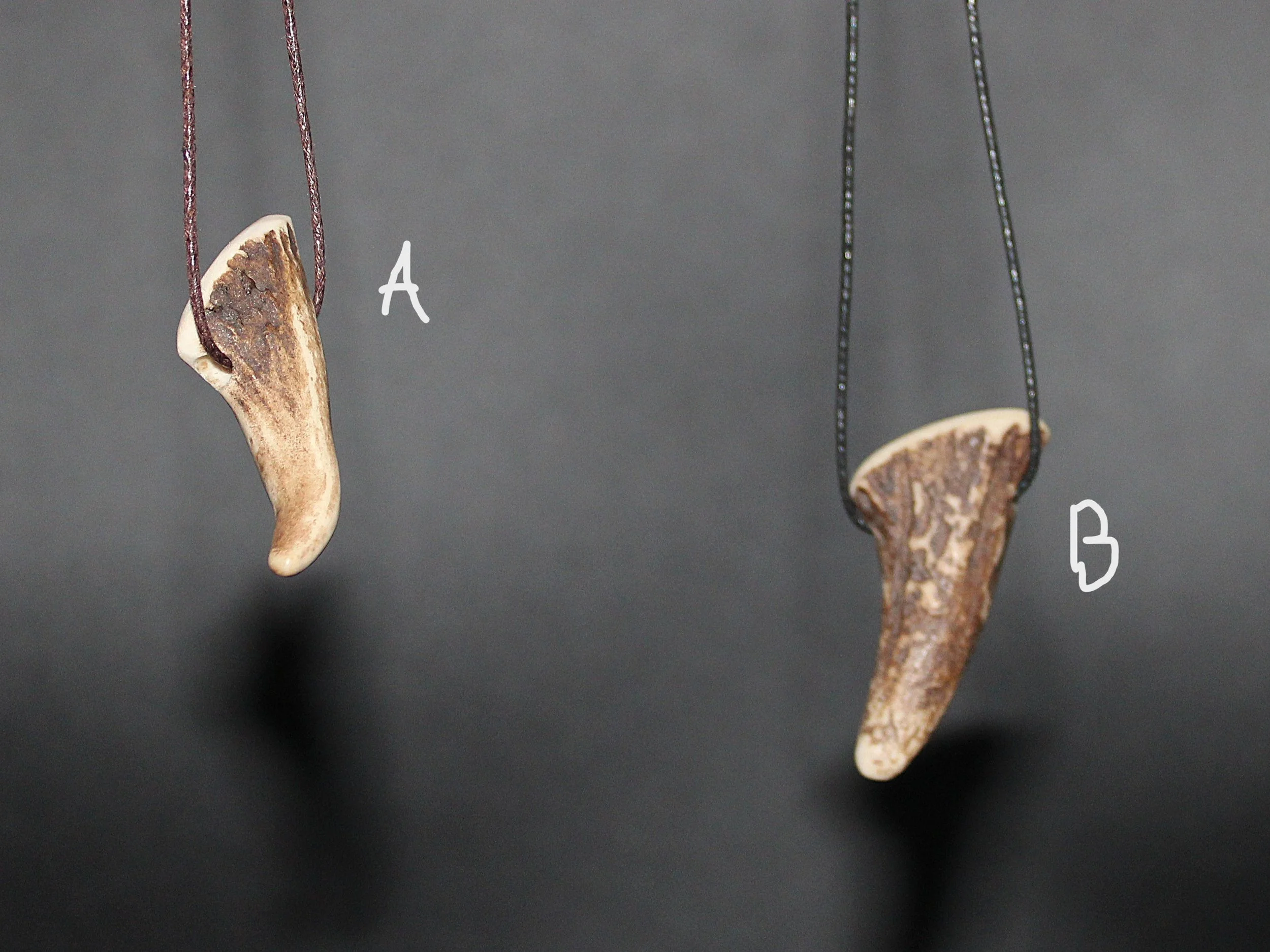 RV0041 RV0042 P2.JPG