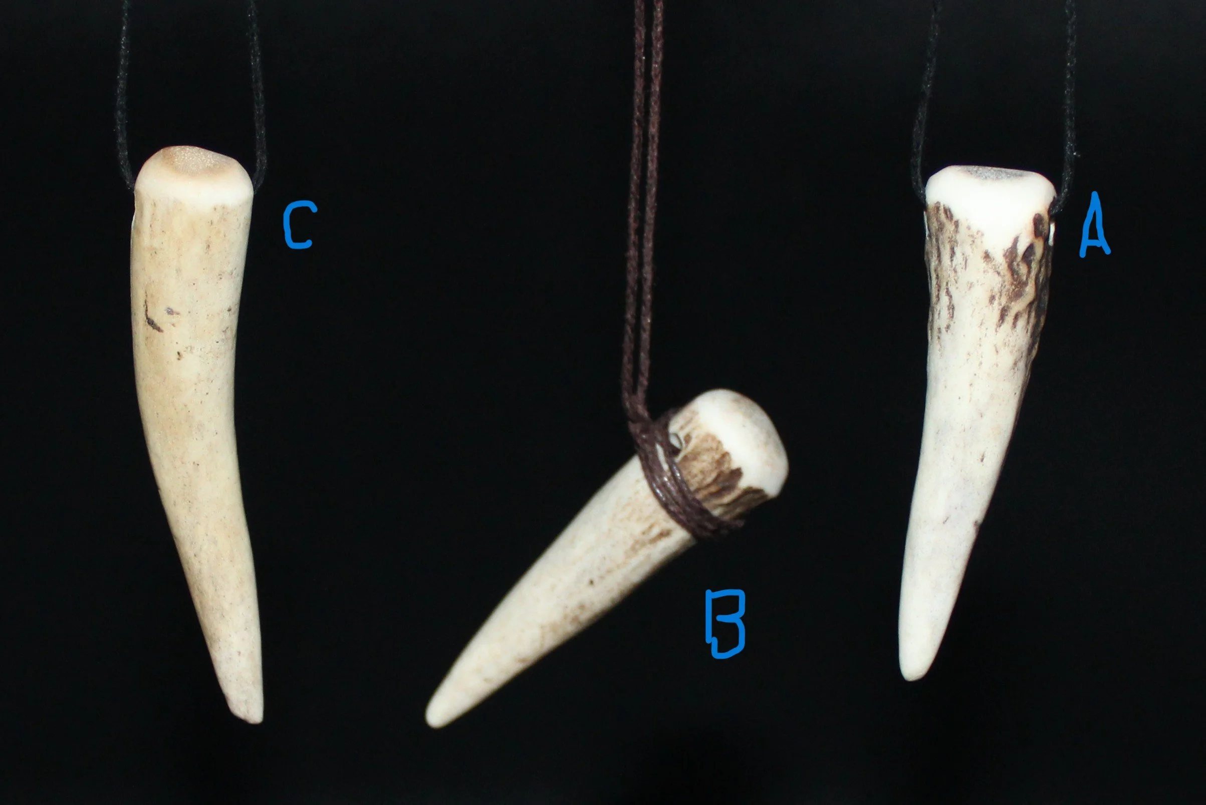 RV0033 RV0034 RV0035 P1.JPG