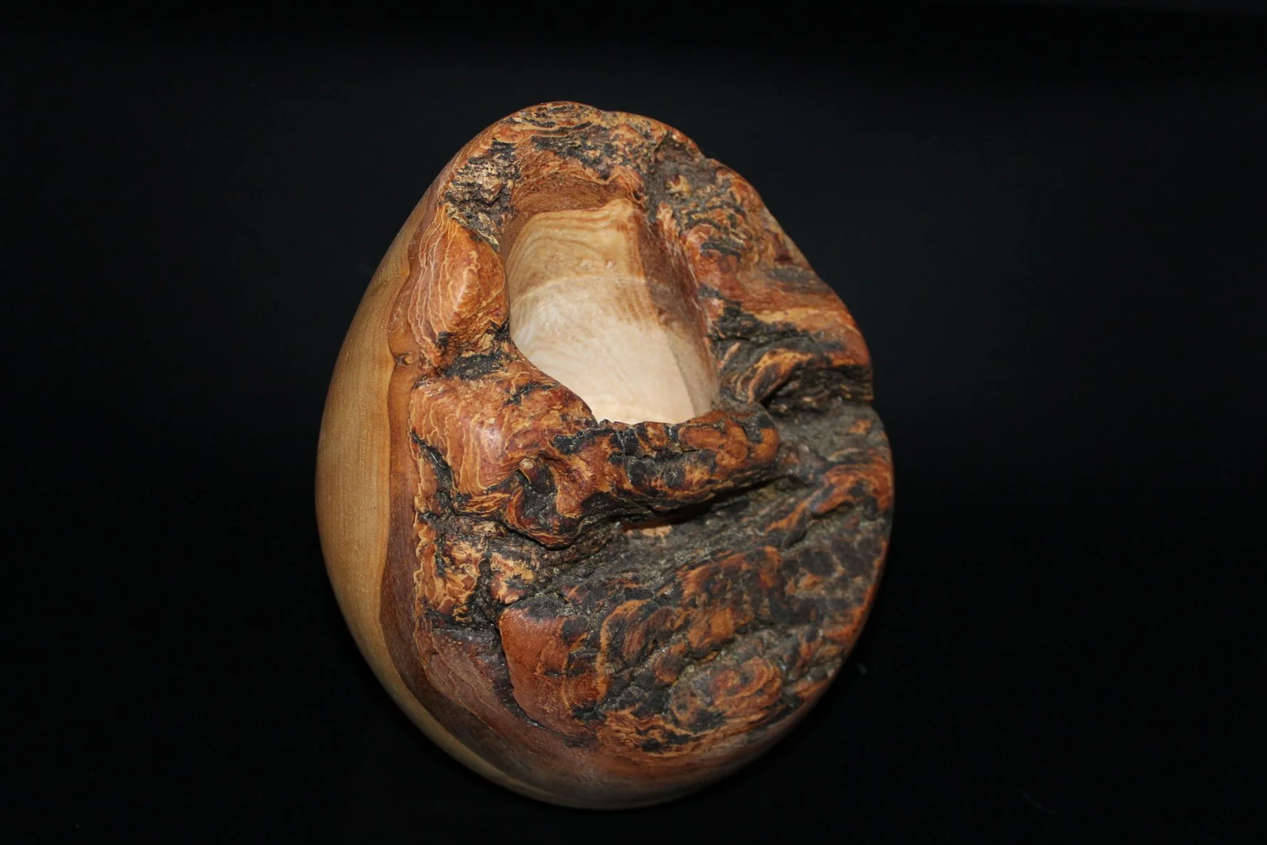 Egg Shaped Elm Pot with Live Edge